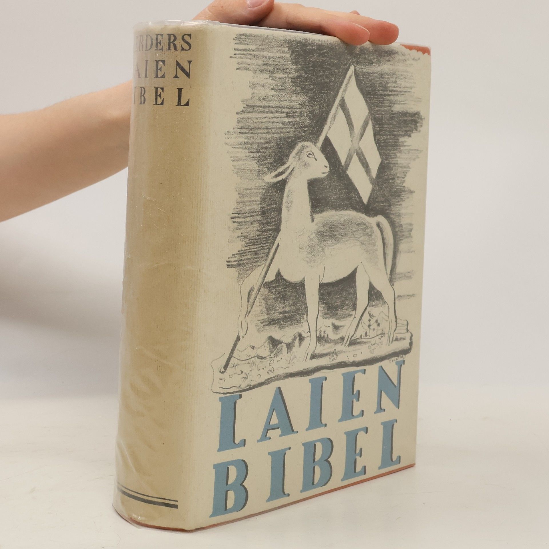 Autorenkollektiv Laien Bibel