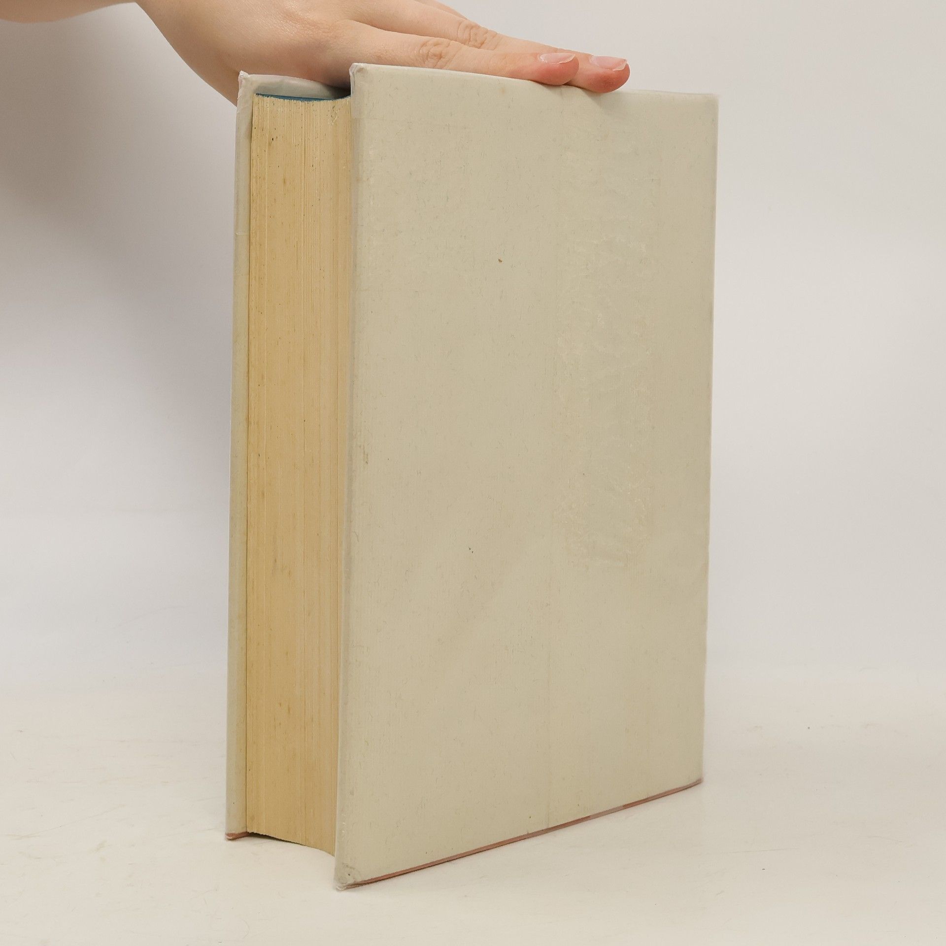 Autorenkollektiv Laien Bibel