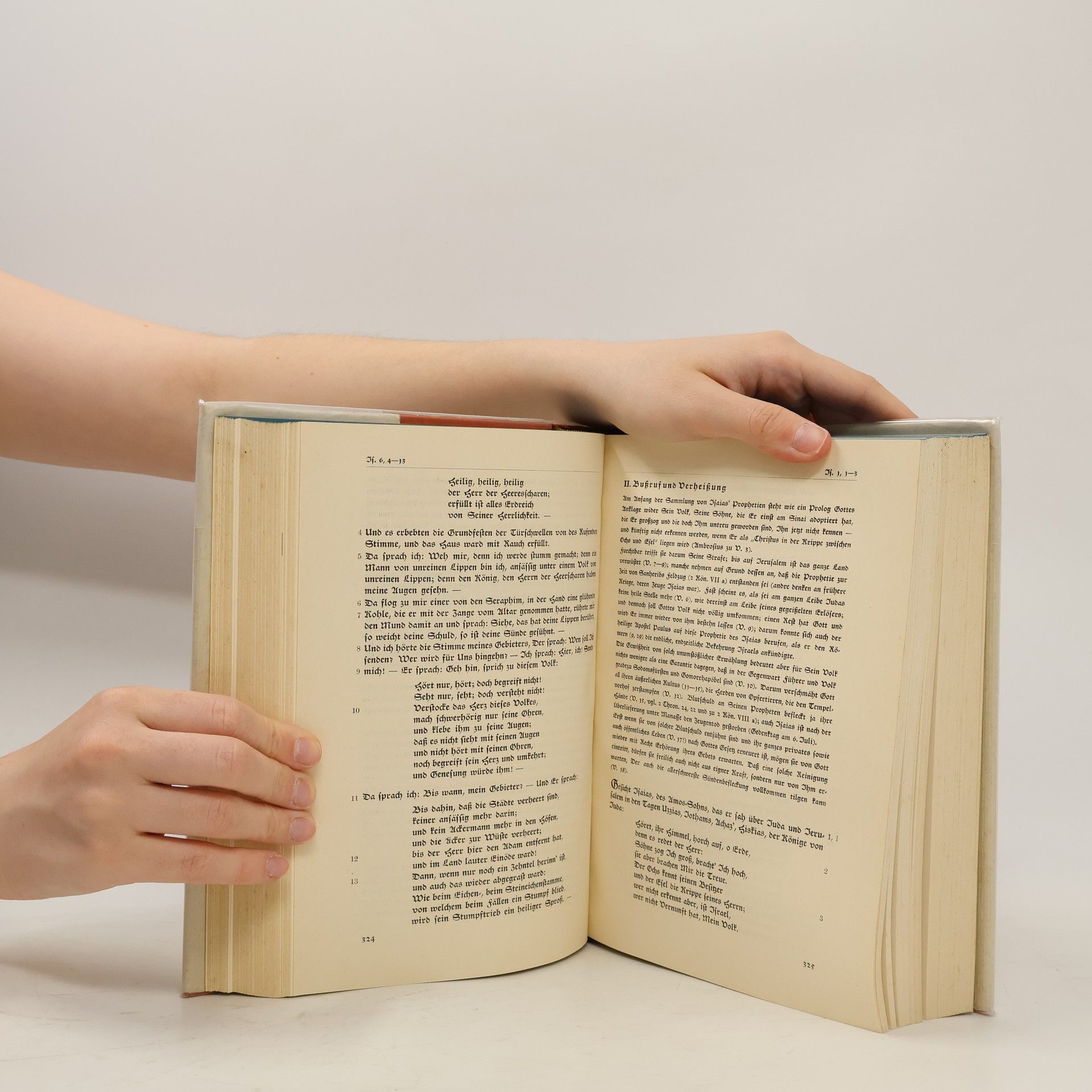 Autorenkollektiv Laien Bibel