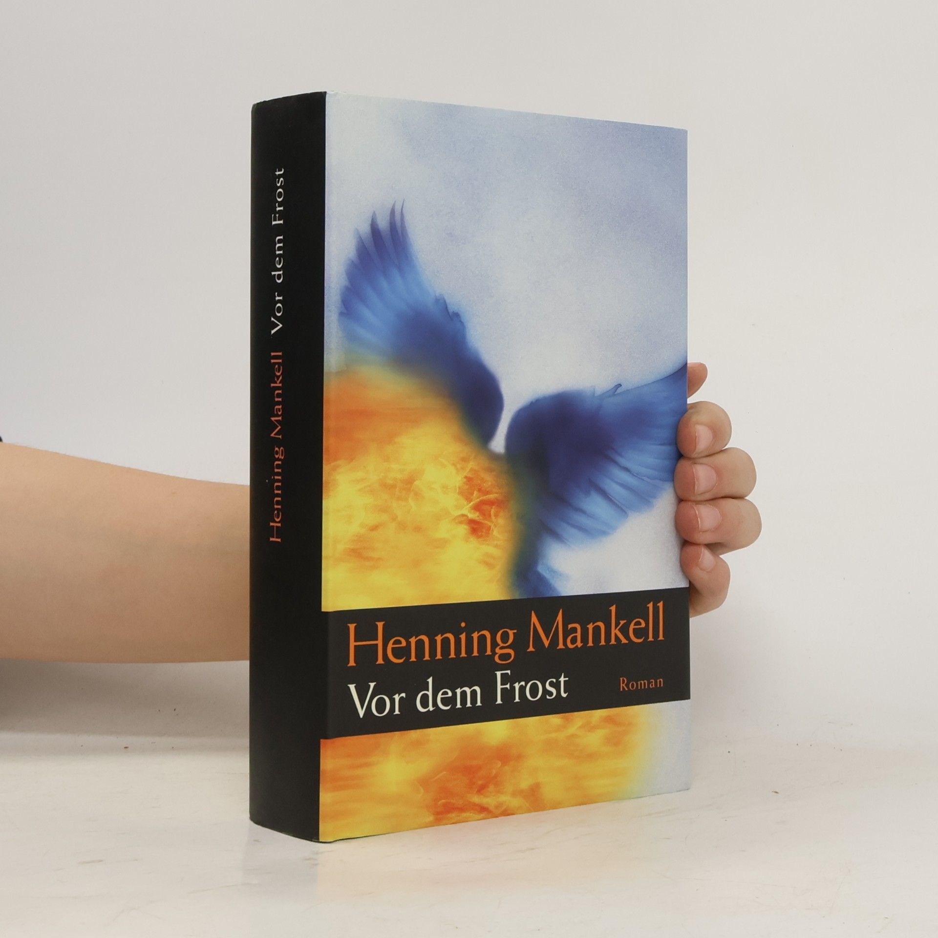 Henning Mankell Vor dem Frost