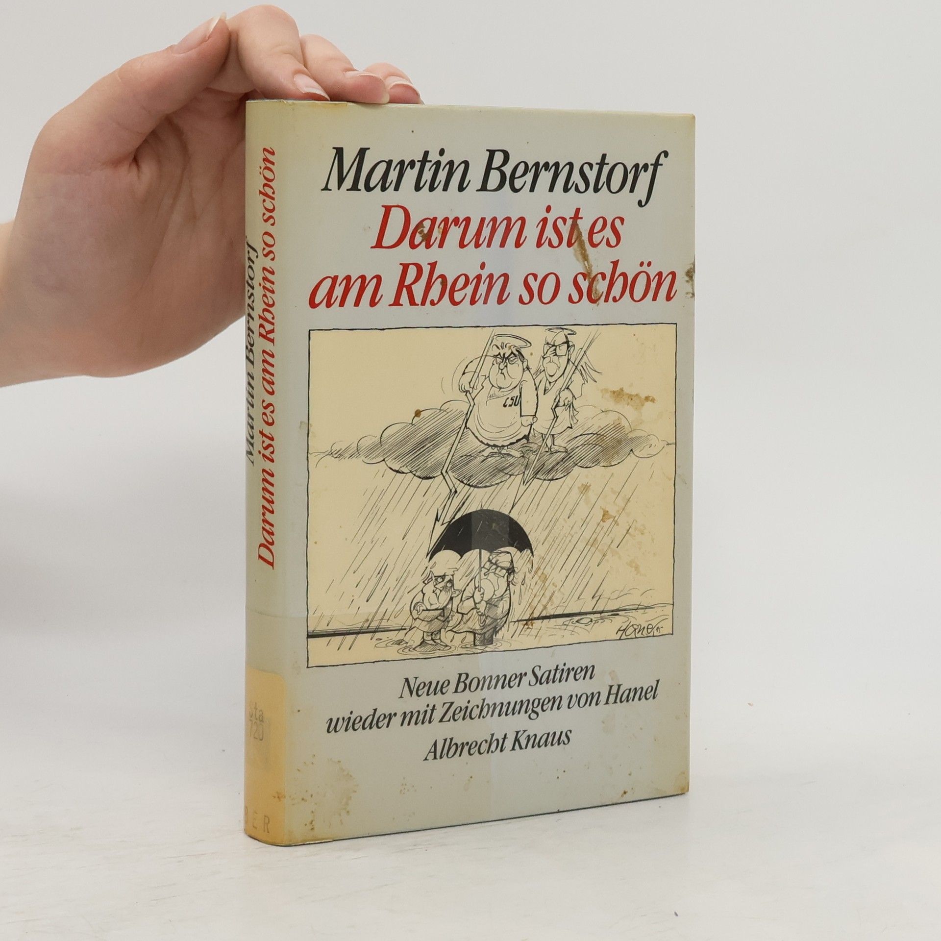 Martin Bernstorf Darum ist es am Rhein so schön