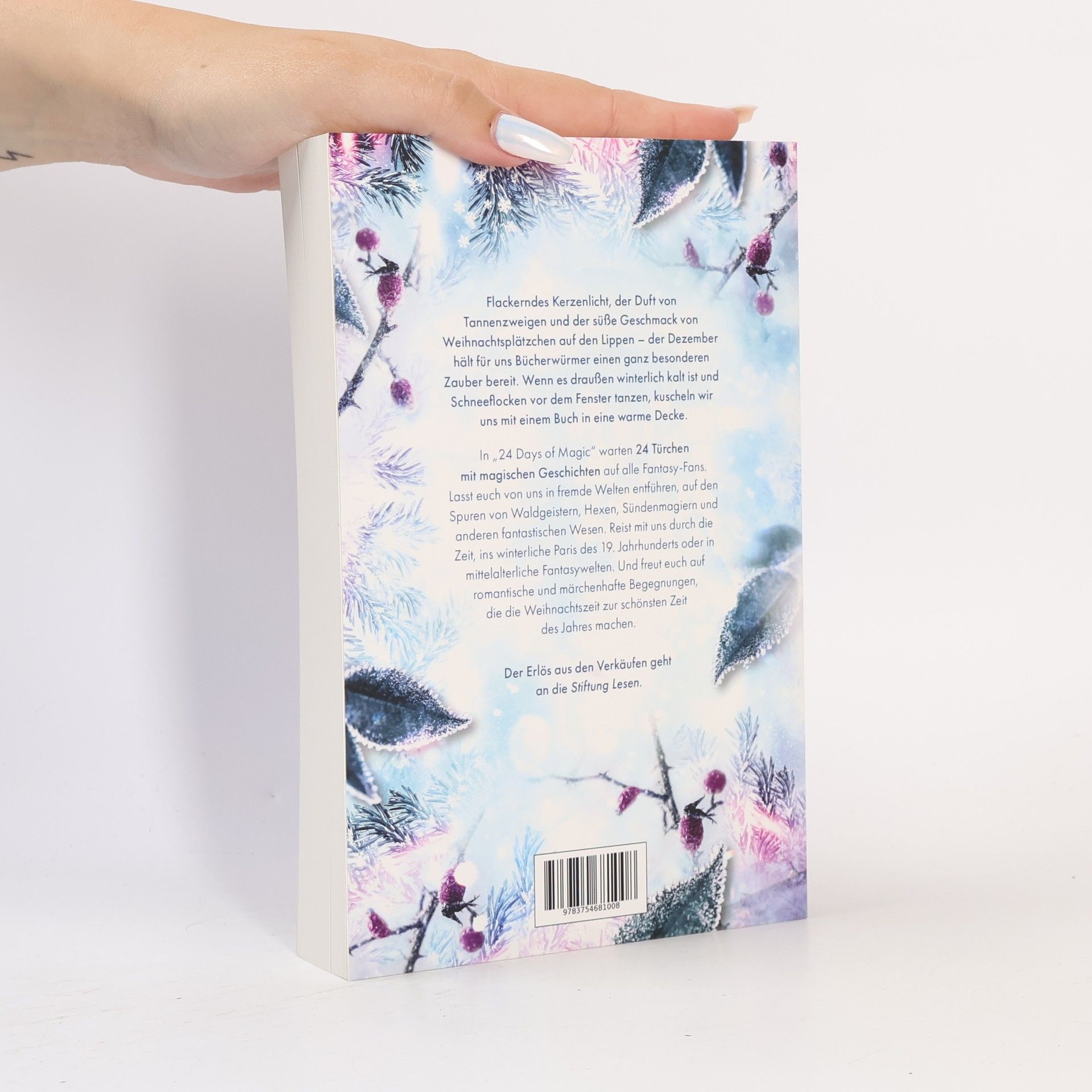 Karolyn Ciseau 24 Days of Magic. Ein fantastischer Adventskalender