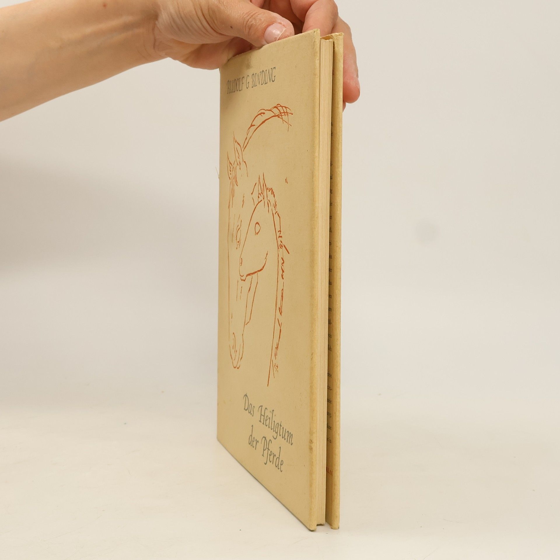 Rudolf G. Binding Das Heiligtum der Pferde