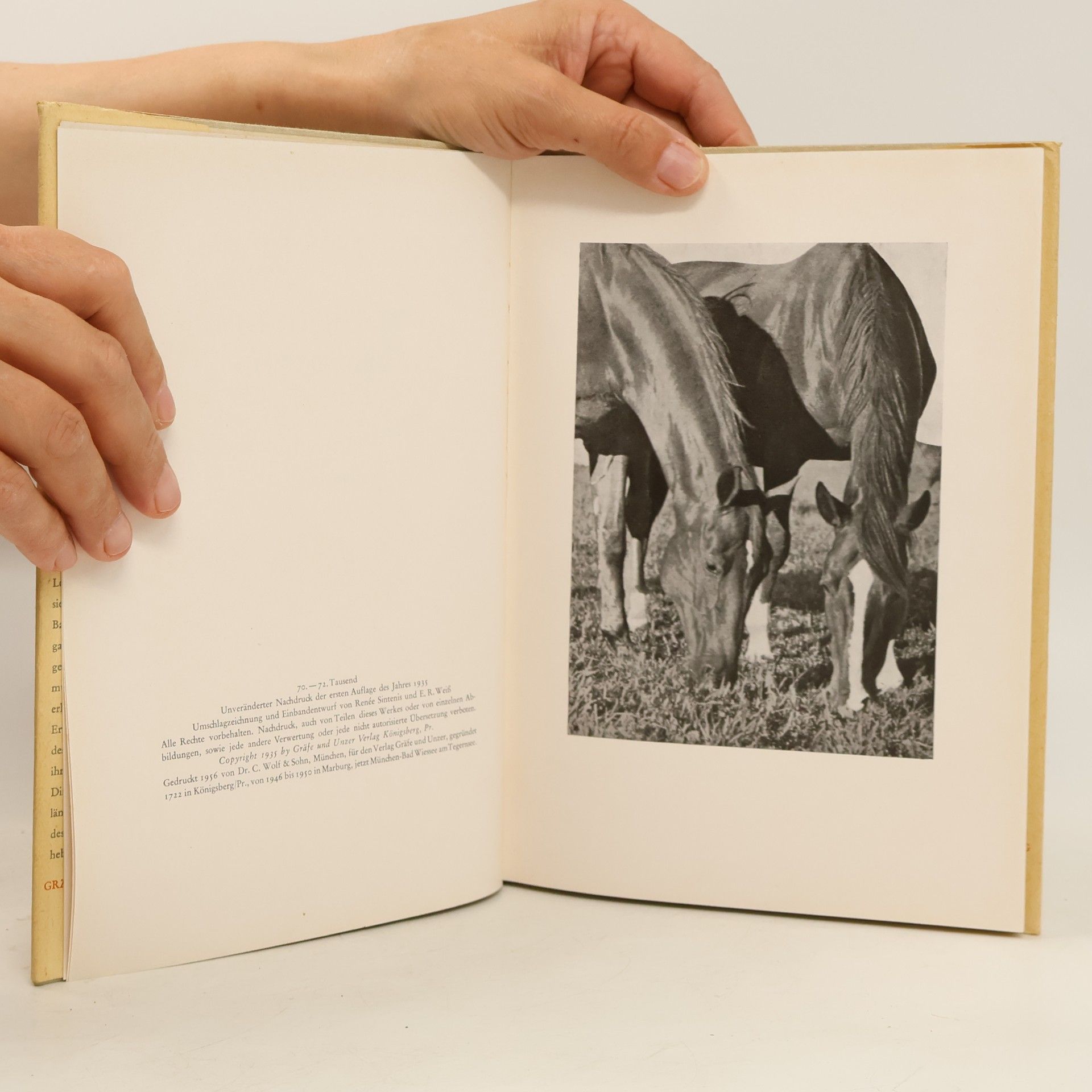 Rudolf G. Binding Das Heiligtum der Pferde