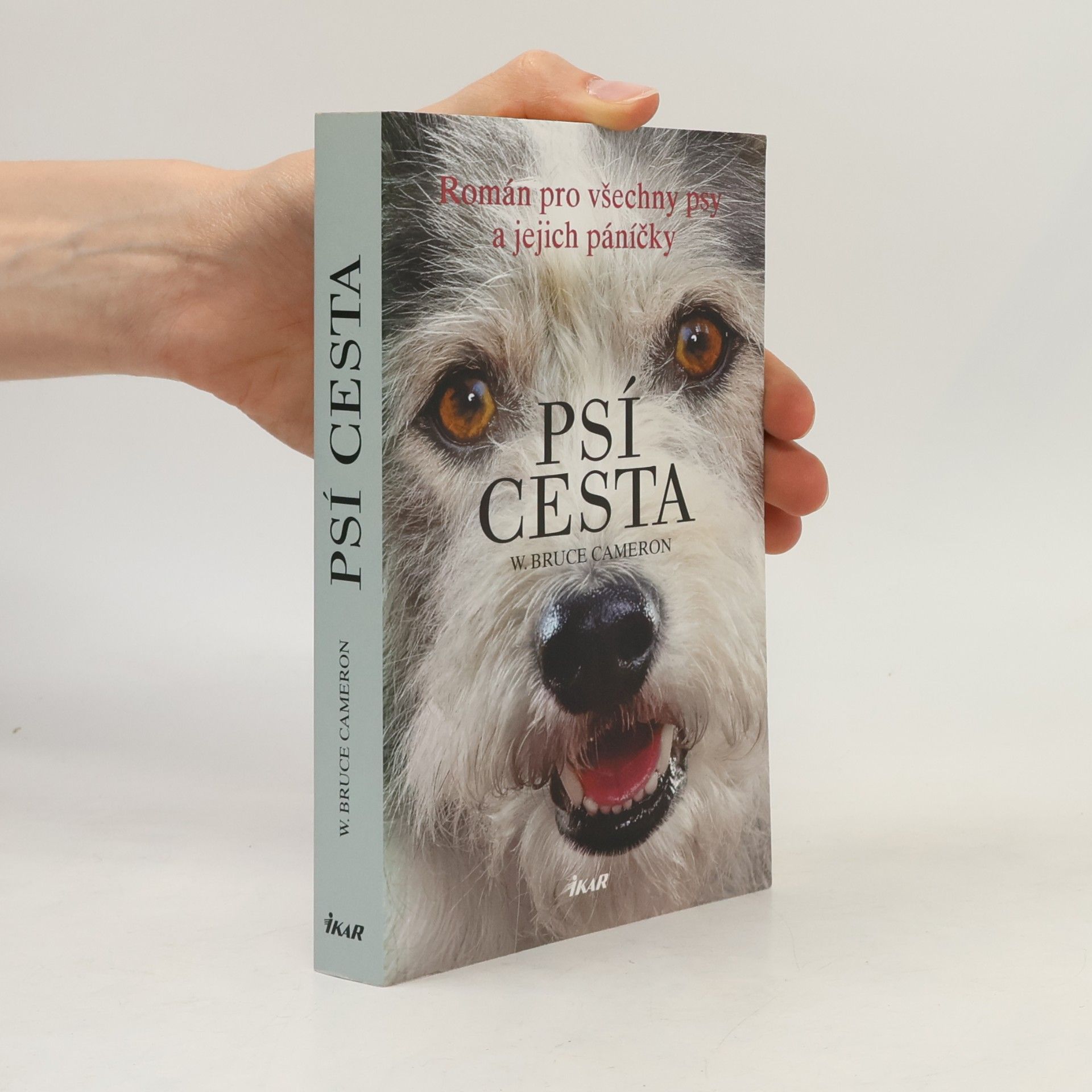 W. Bruce Cameron Psí cesta