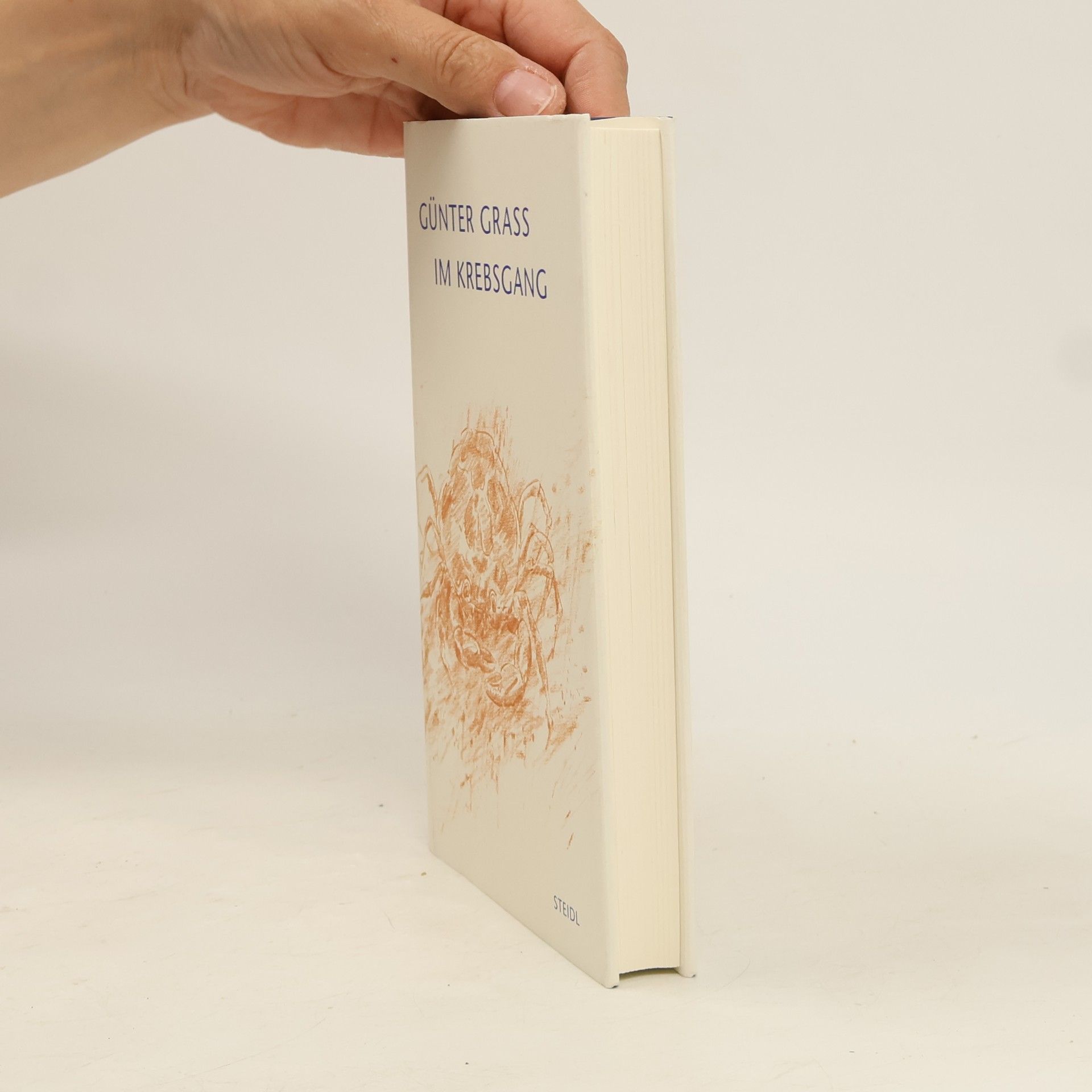 Günter Grass Im Krebsgang : eine Novelle