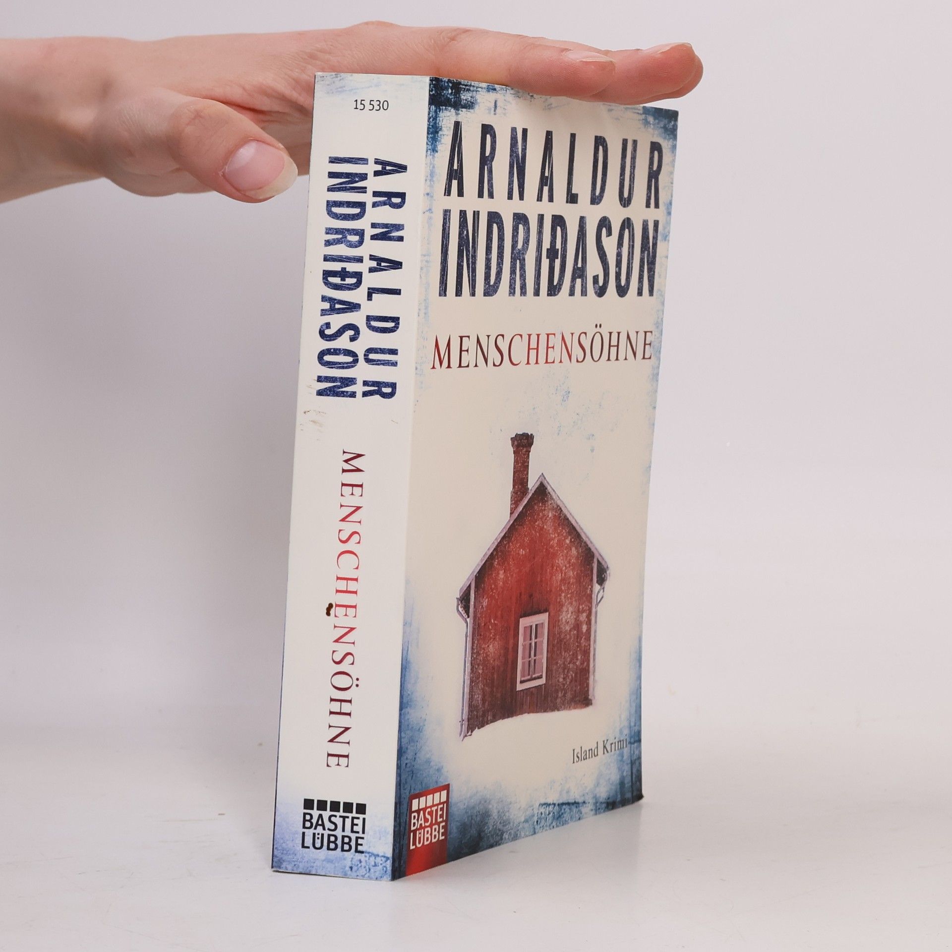 Arnaldur Indridason Menschensöhne