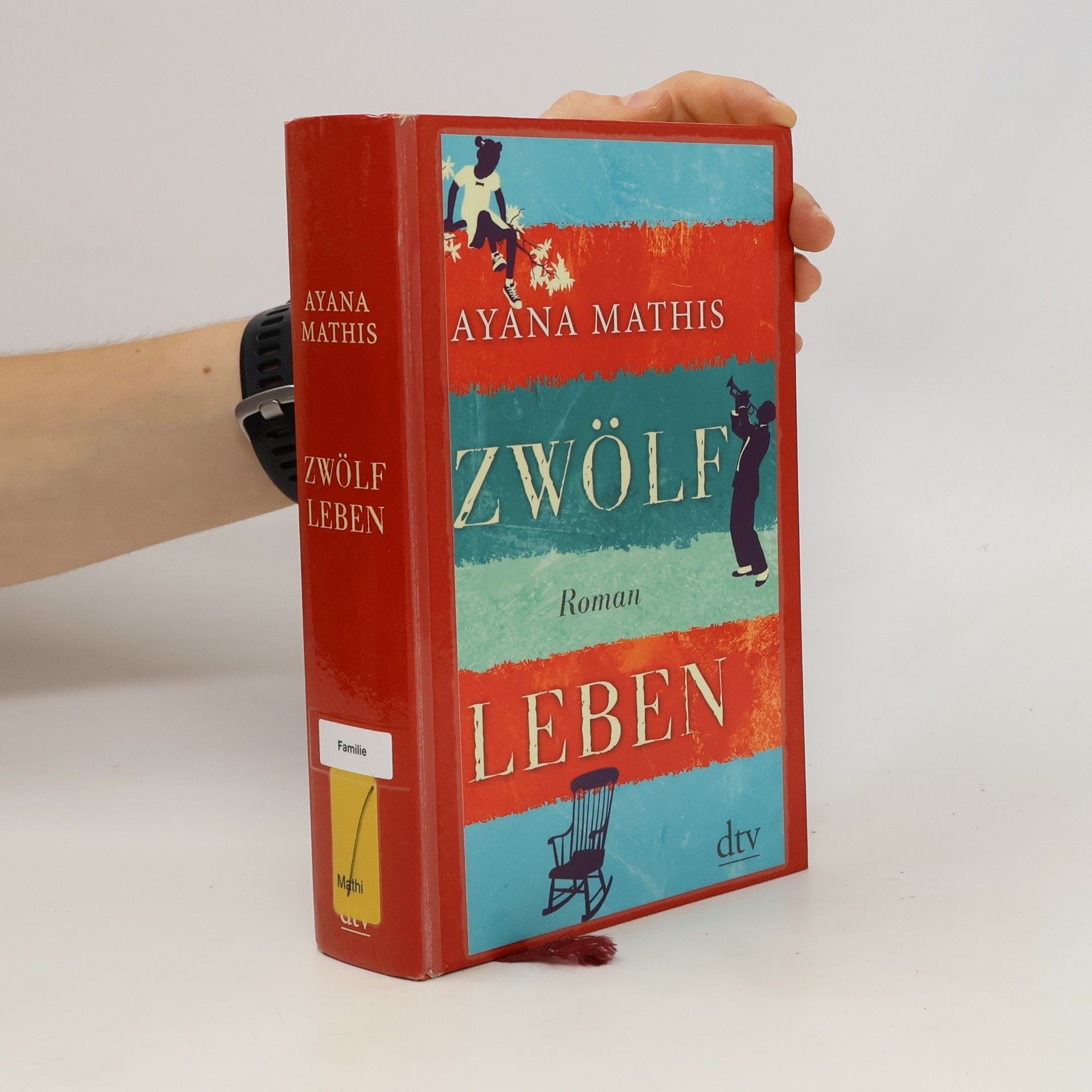 Ayana Mathis Zwölf Leben