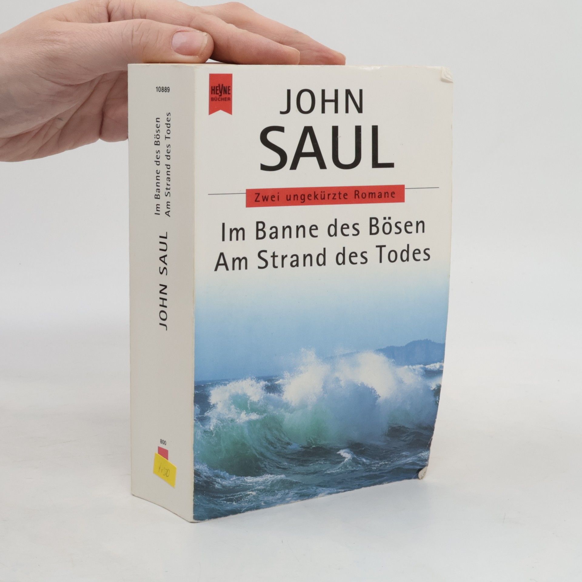 John Saul Im Banne des Bösen. Am Strand des Todes. 2 Romane in 1 Bd.