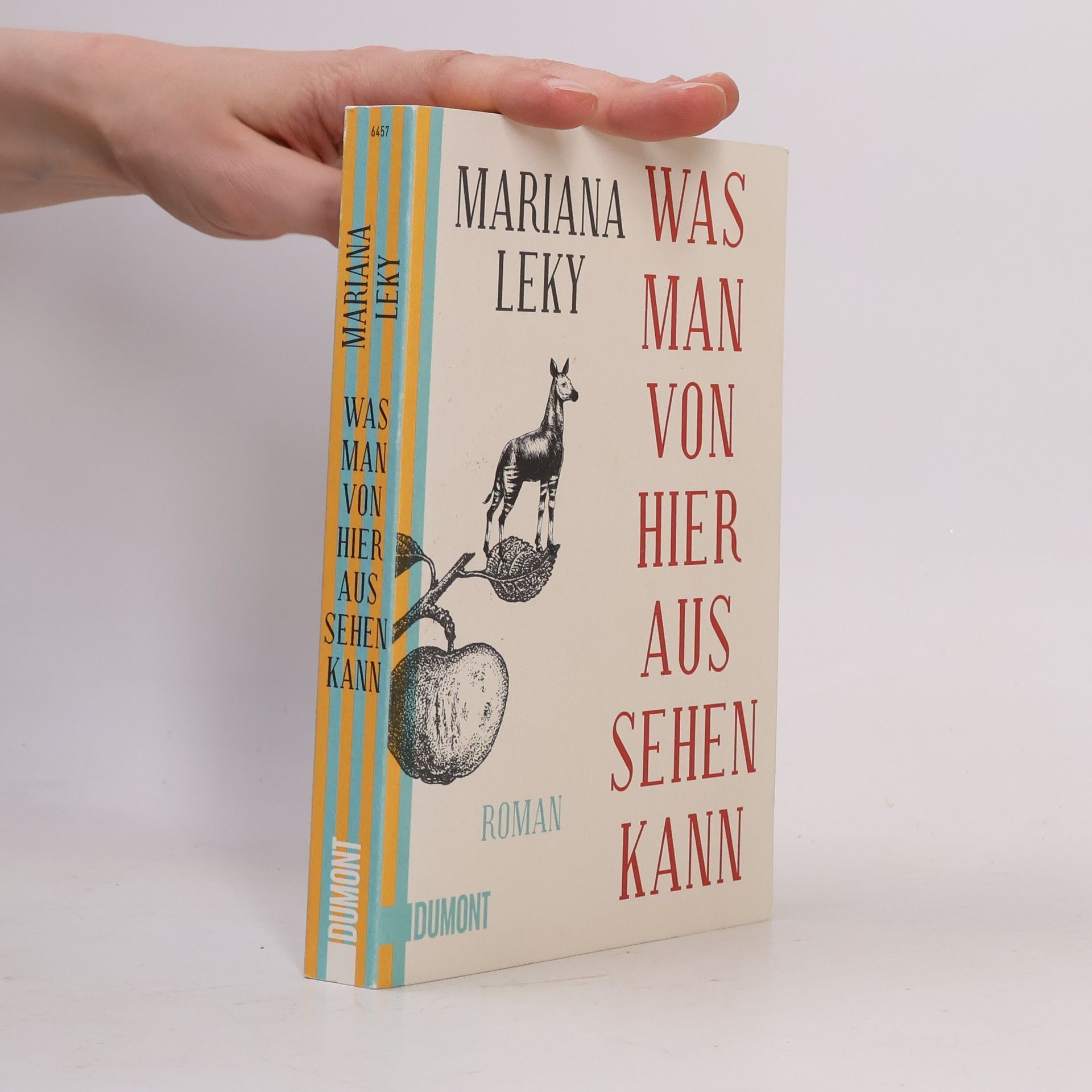 Mariana Leky Was man von hier aus sehen kann