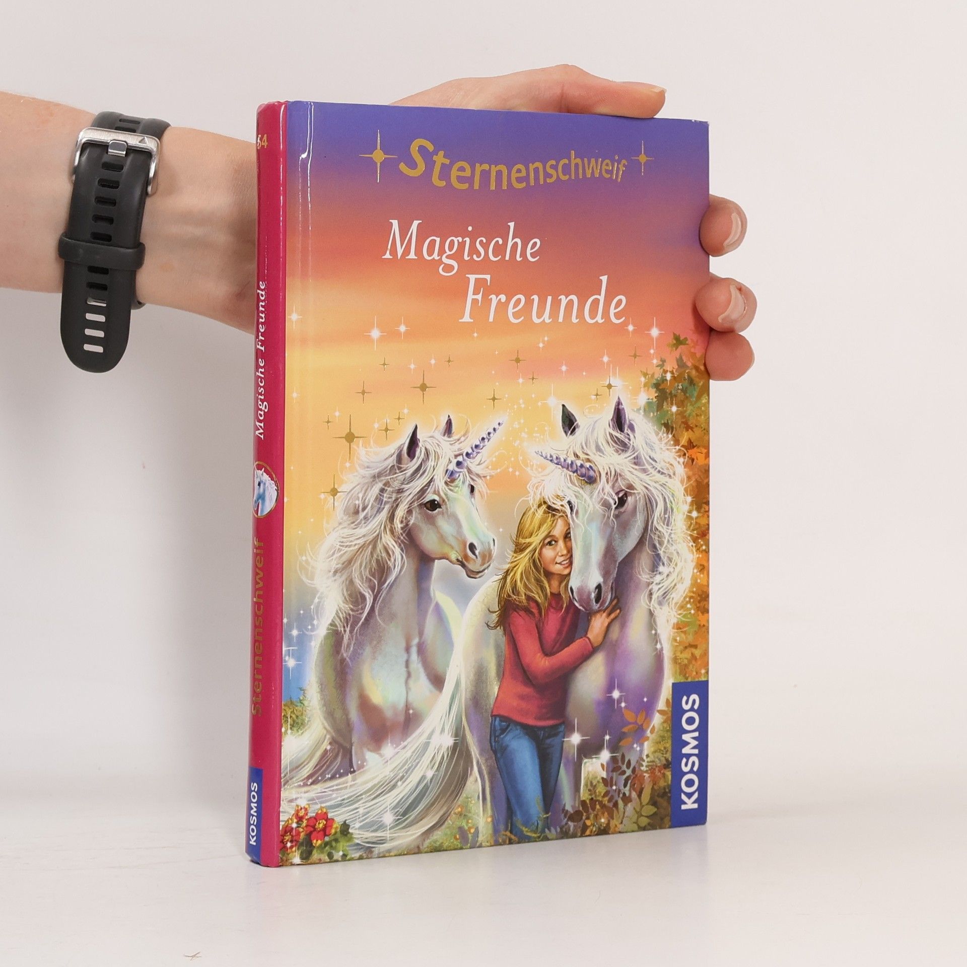 Linda Chapman Magische Freunde