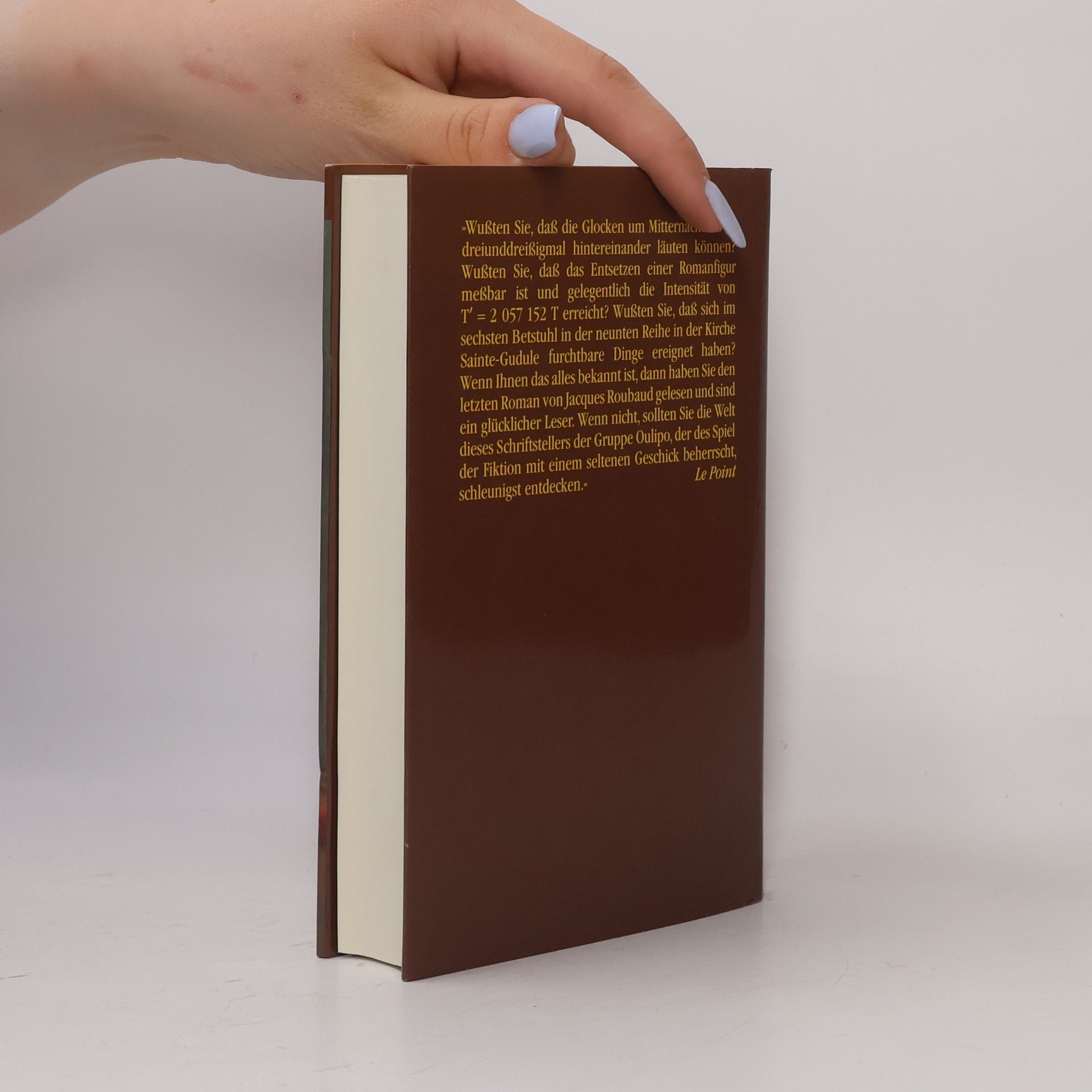 Jacques Roubaud Die Entführung der schönen Hortense