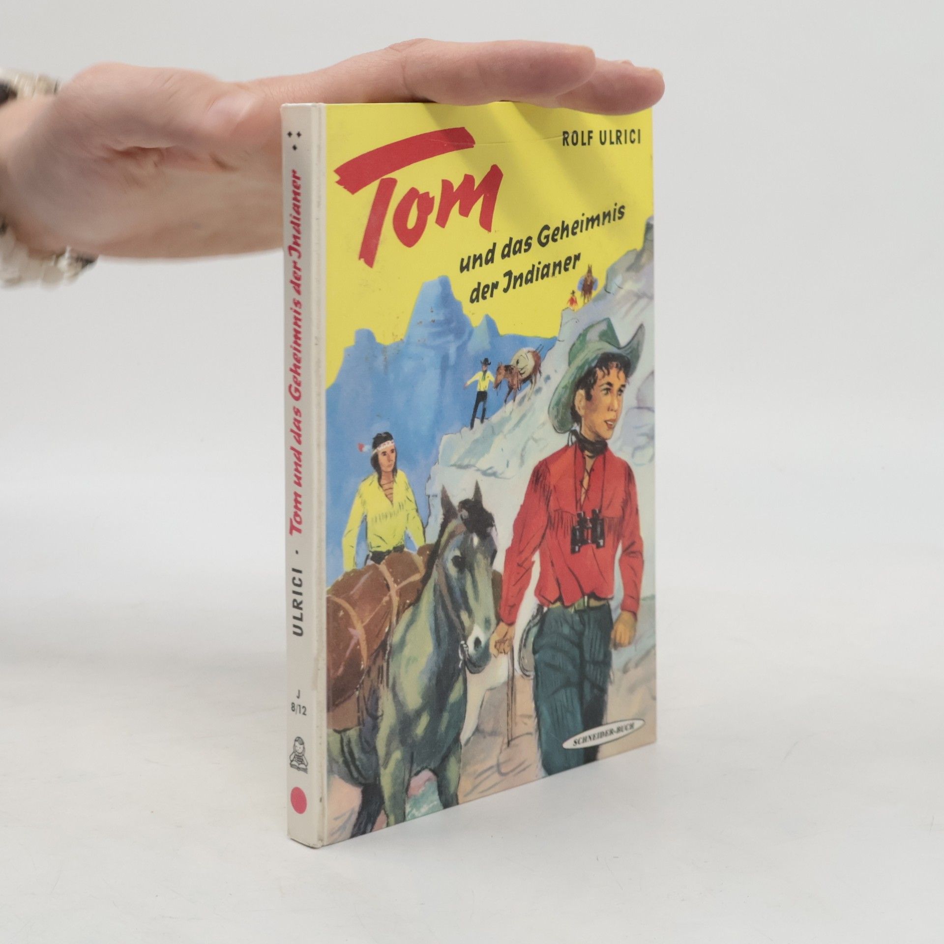 Rolf Ulrici Tom und das Geheimnis der Indianer