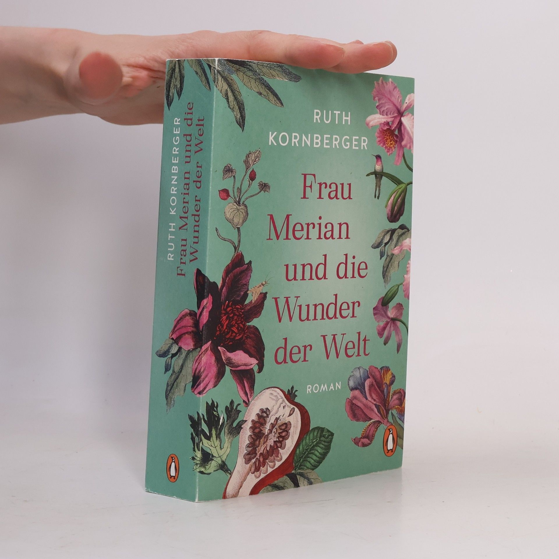Ruth Kornberger Frau Merian und die Wunder der Welt