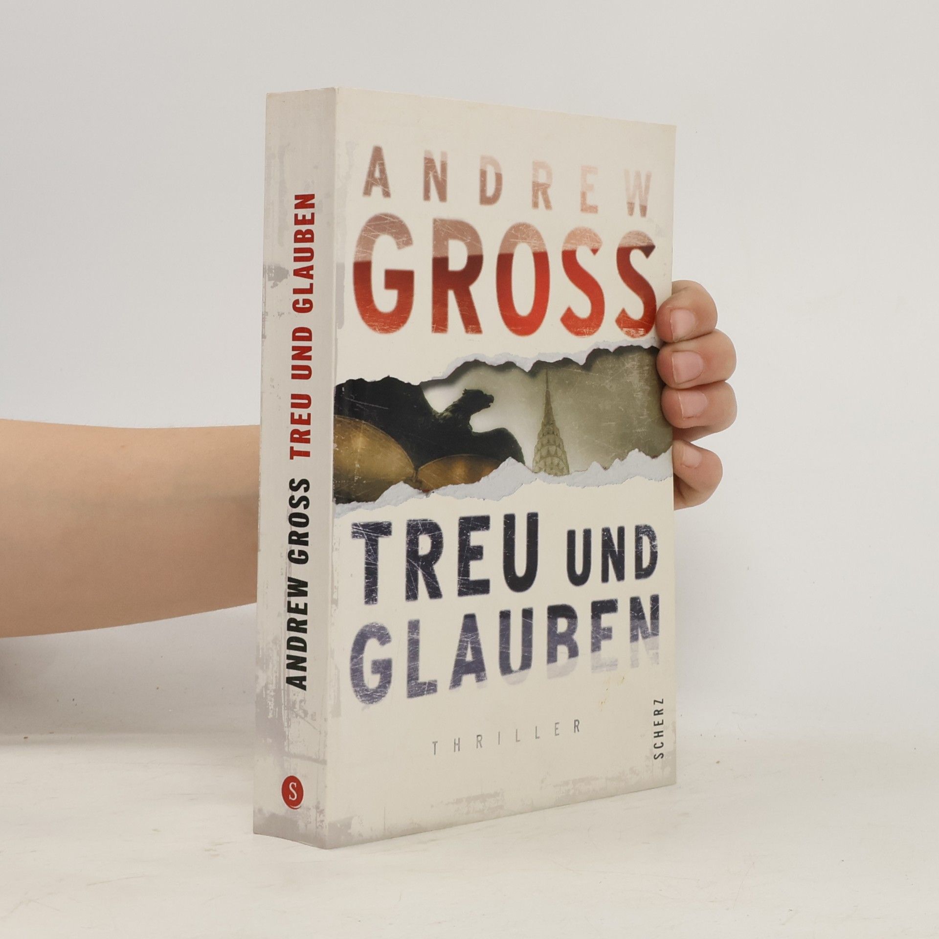 Andrew Gross Treu und Glauben