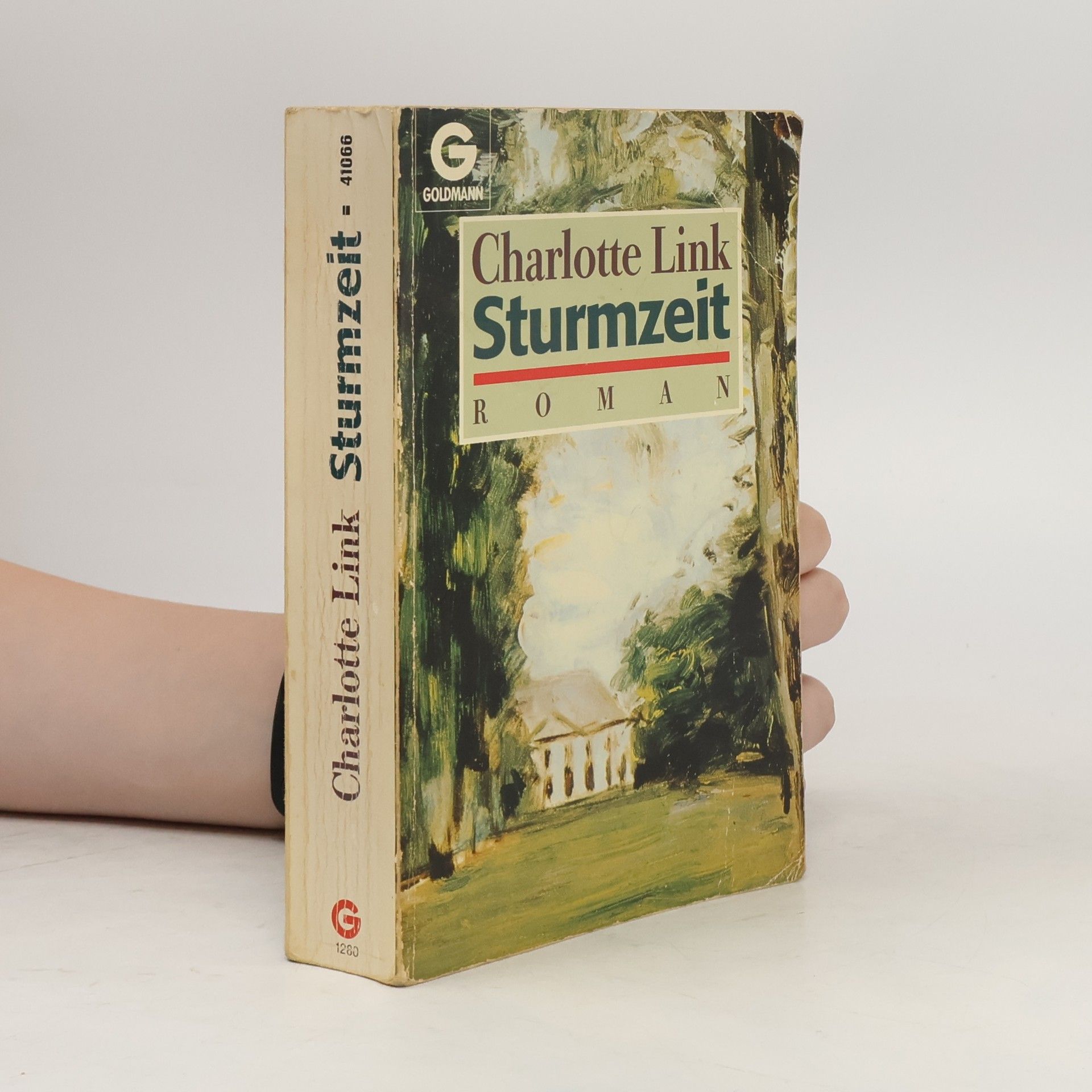 Charlotte Link Sturmzeit