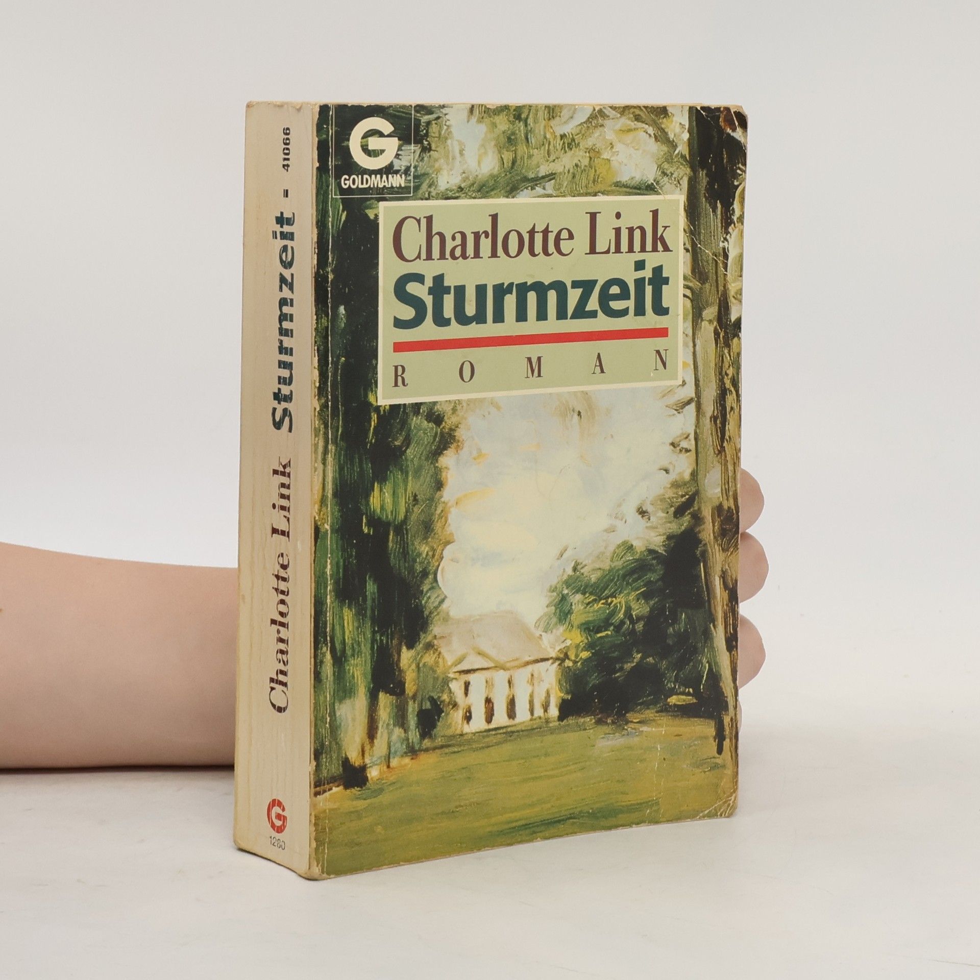 Charlotte Link Sturmzeit