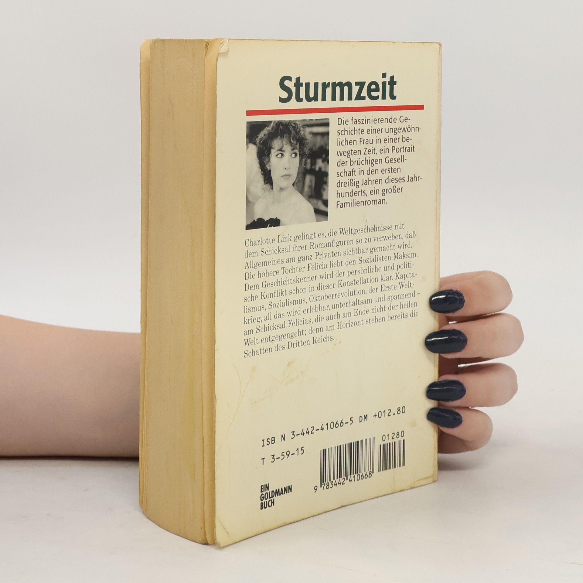 Charlotte Link Sturmzeit