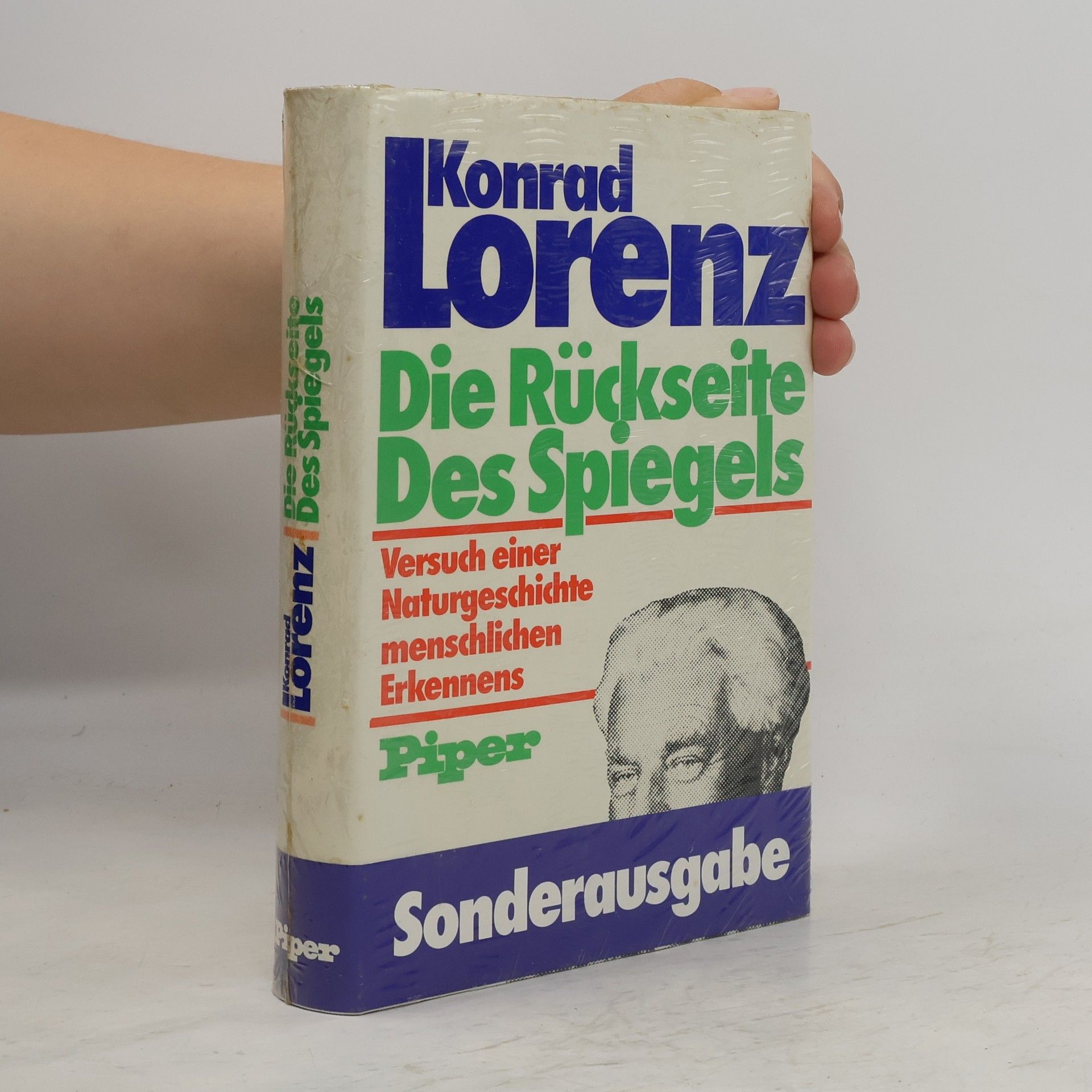 Die Rückseite Des Spiegels