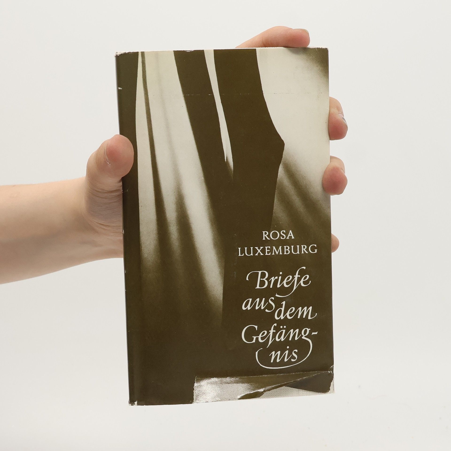 Rosa Luxemburg Briefe aus dem Gefängnis