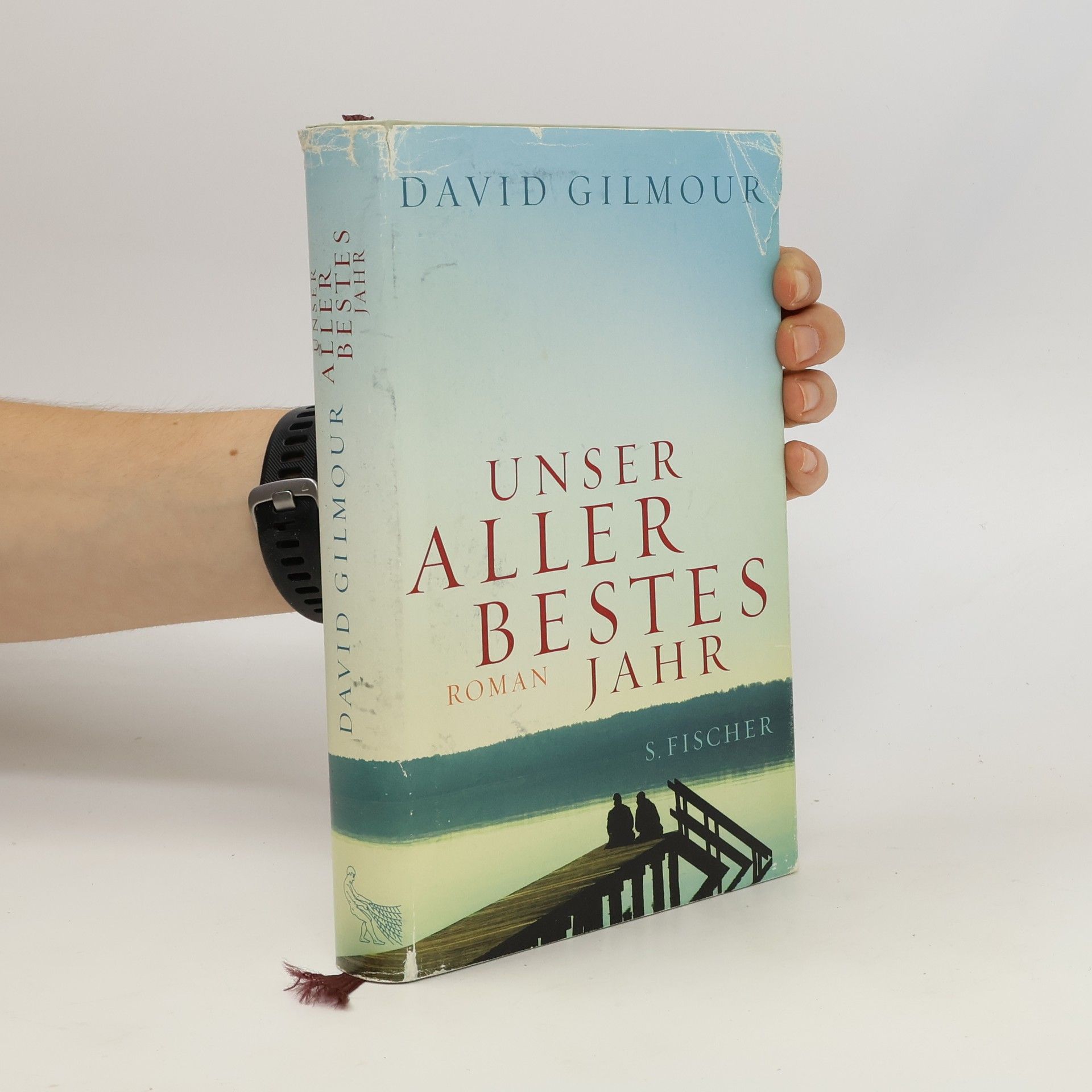 David Gilmour Unser allerbestes Jahr