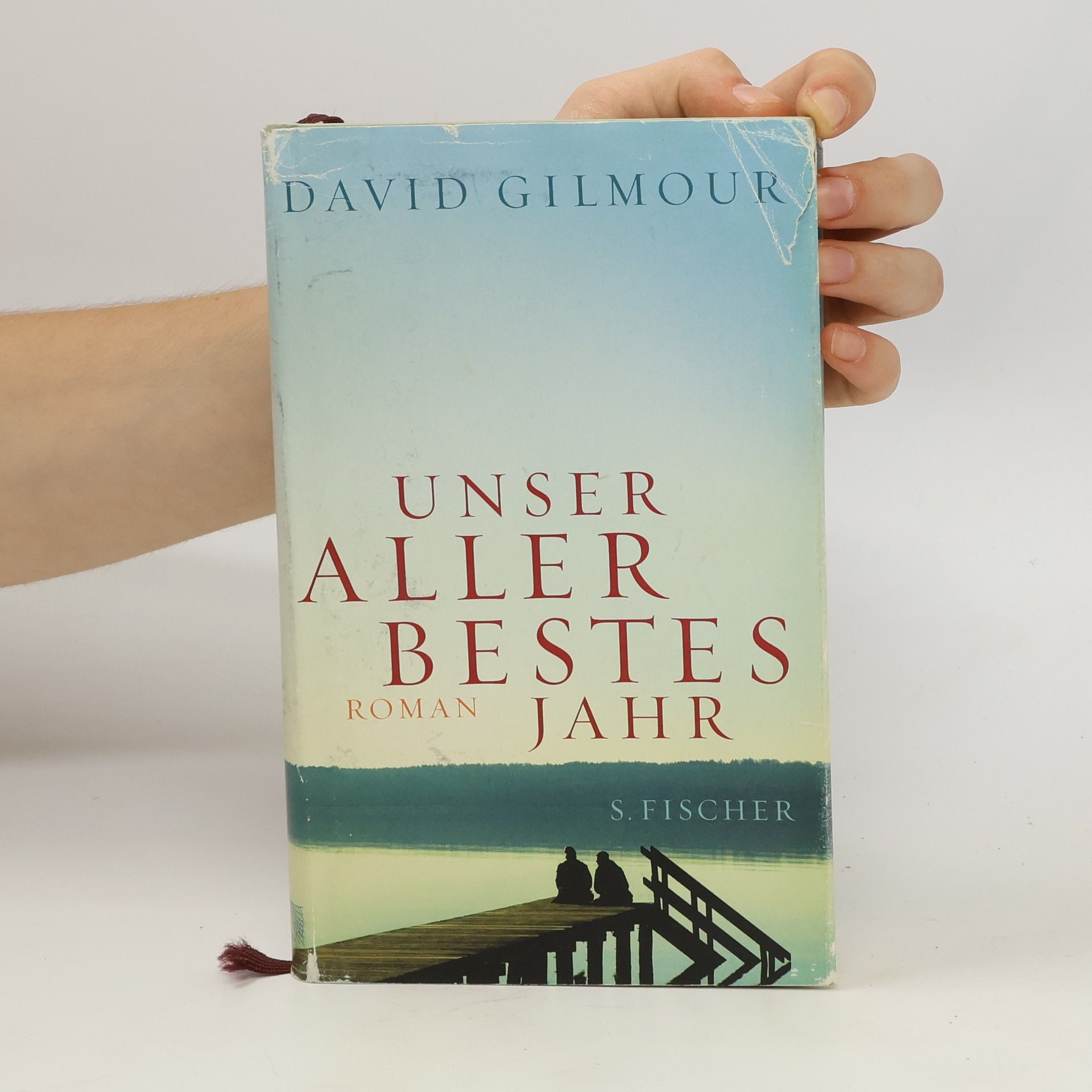 David Gilmour Unser allerbestes Jahr