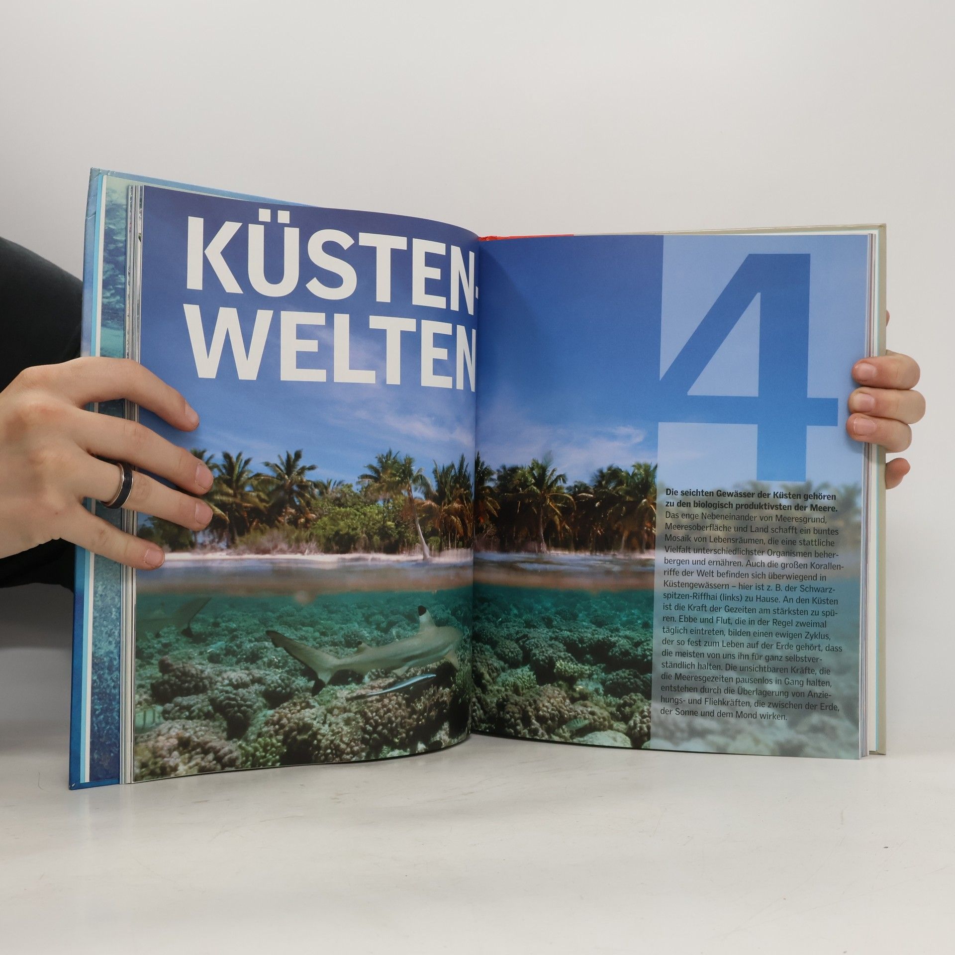 kolektiv Wunderwelt Ozeane