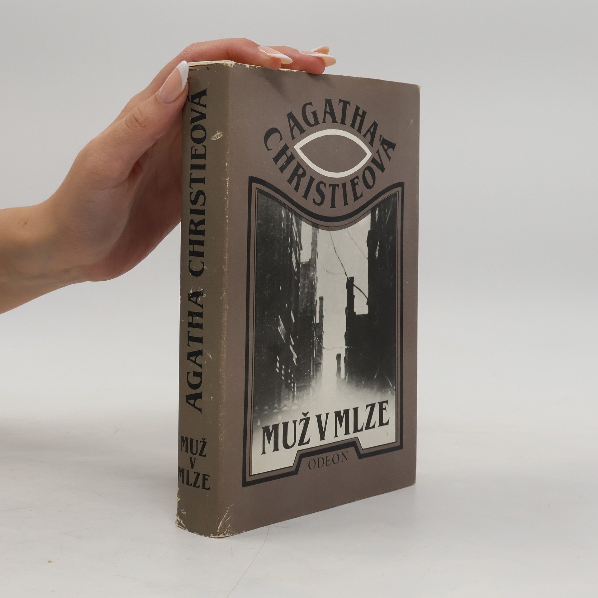 Agatha Christie Muž v mlze