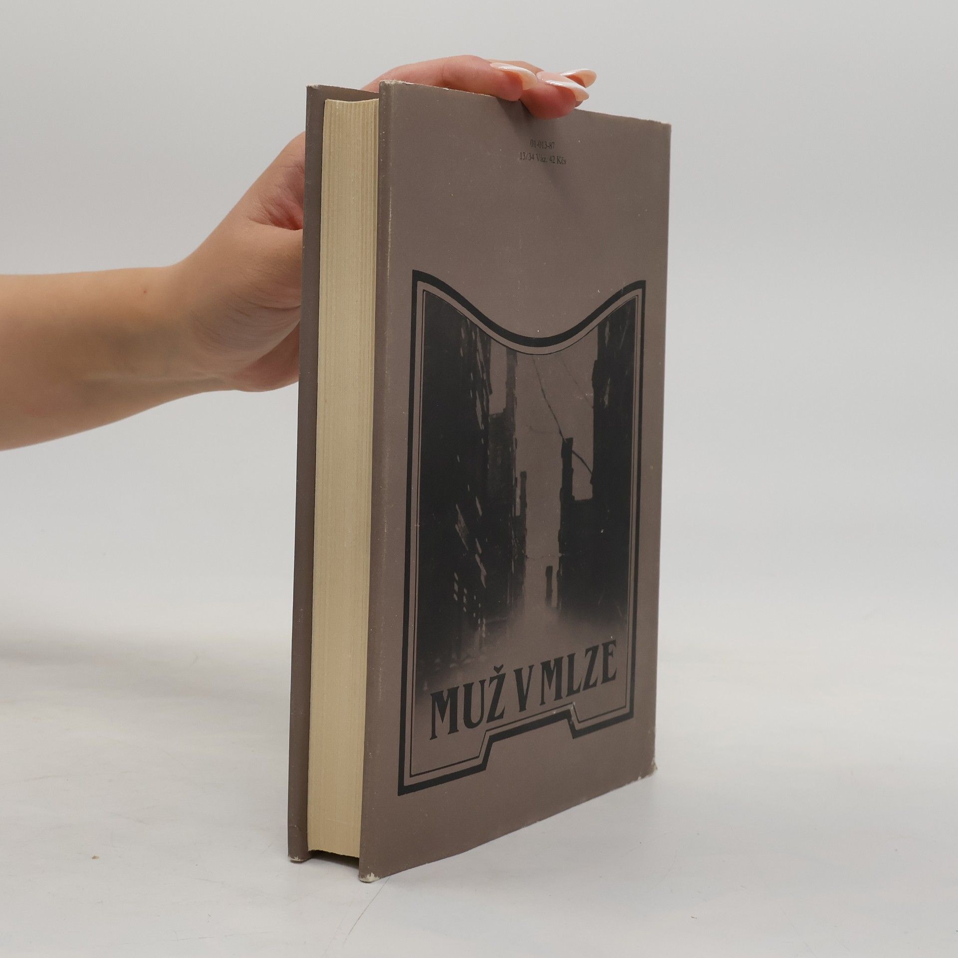 Agatha Christie Muž v mlze
