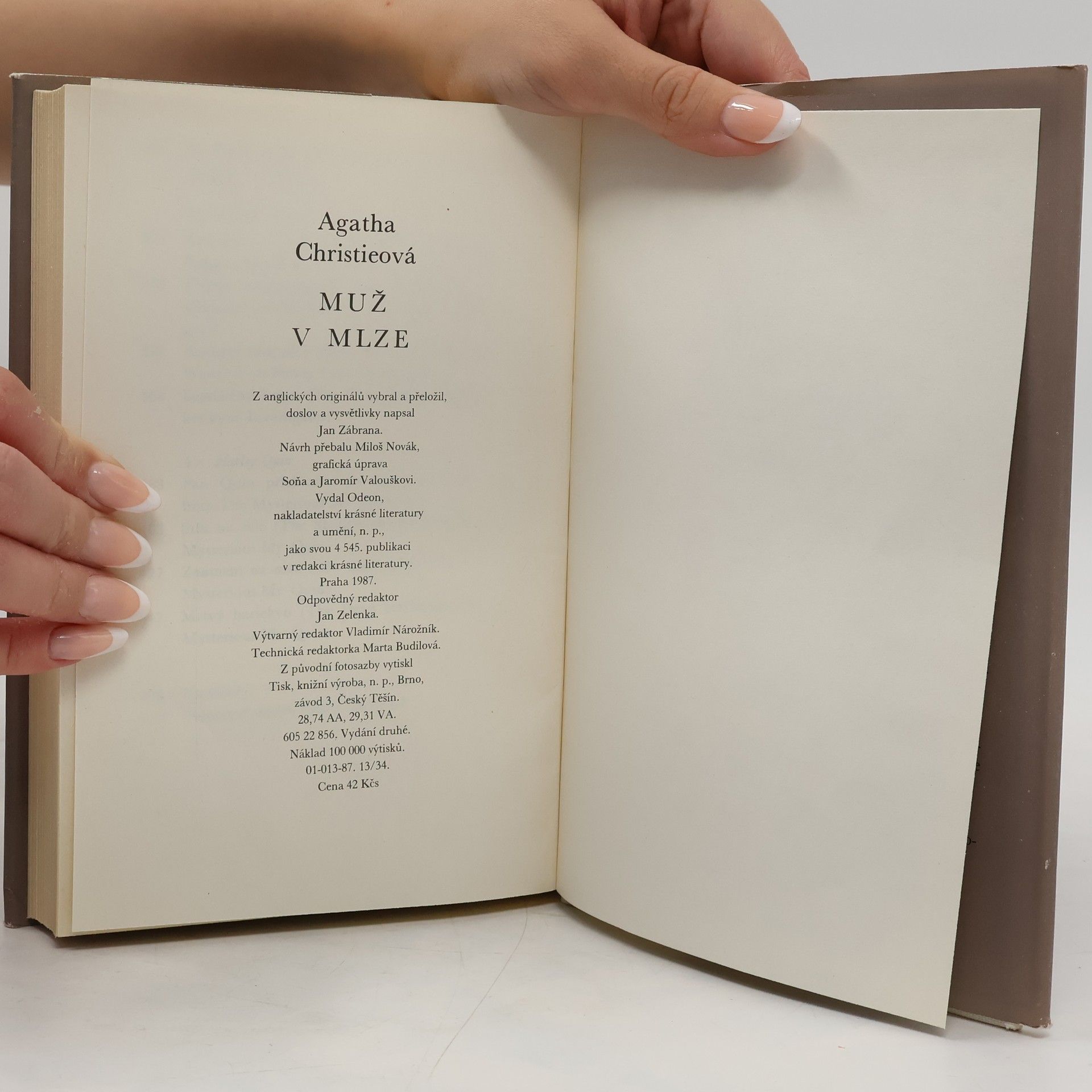 Agatha Christie Muž v mlze