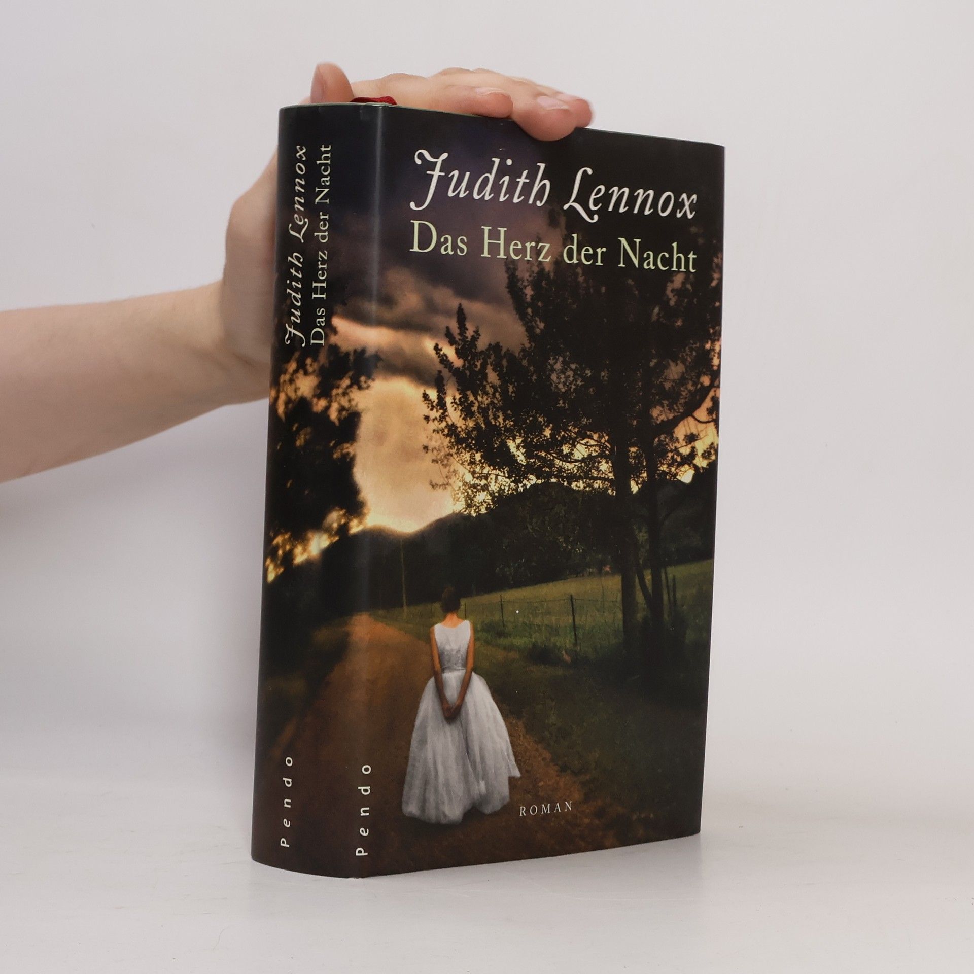 Judith Lennox Das Herz der Nacht