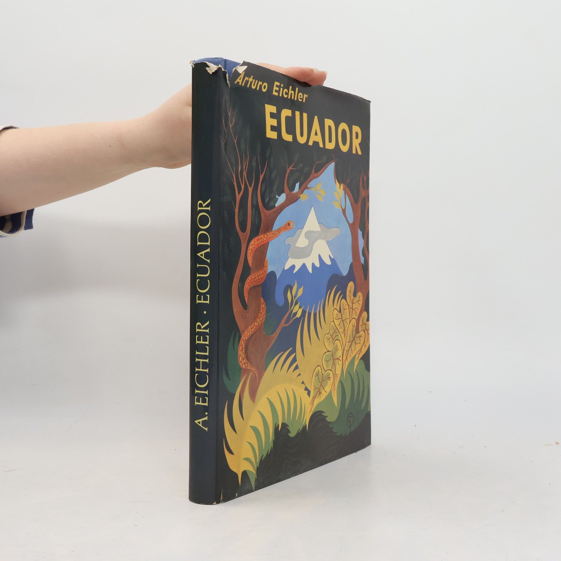 Arturo Eichler Ecuador
