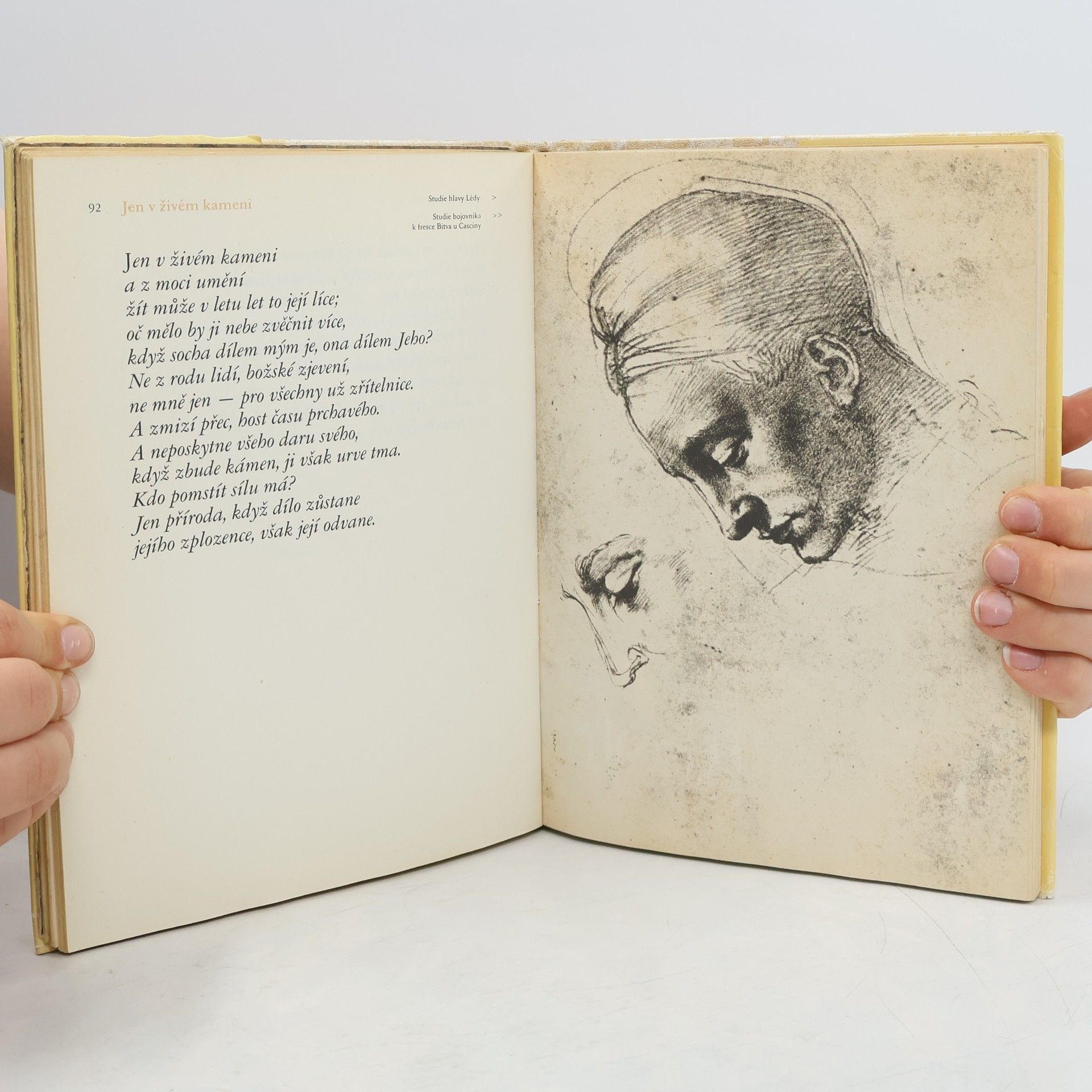 Michelangelo Buonarroti Požár smyslů