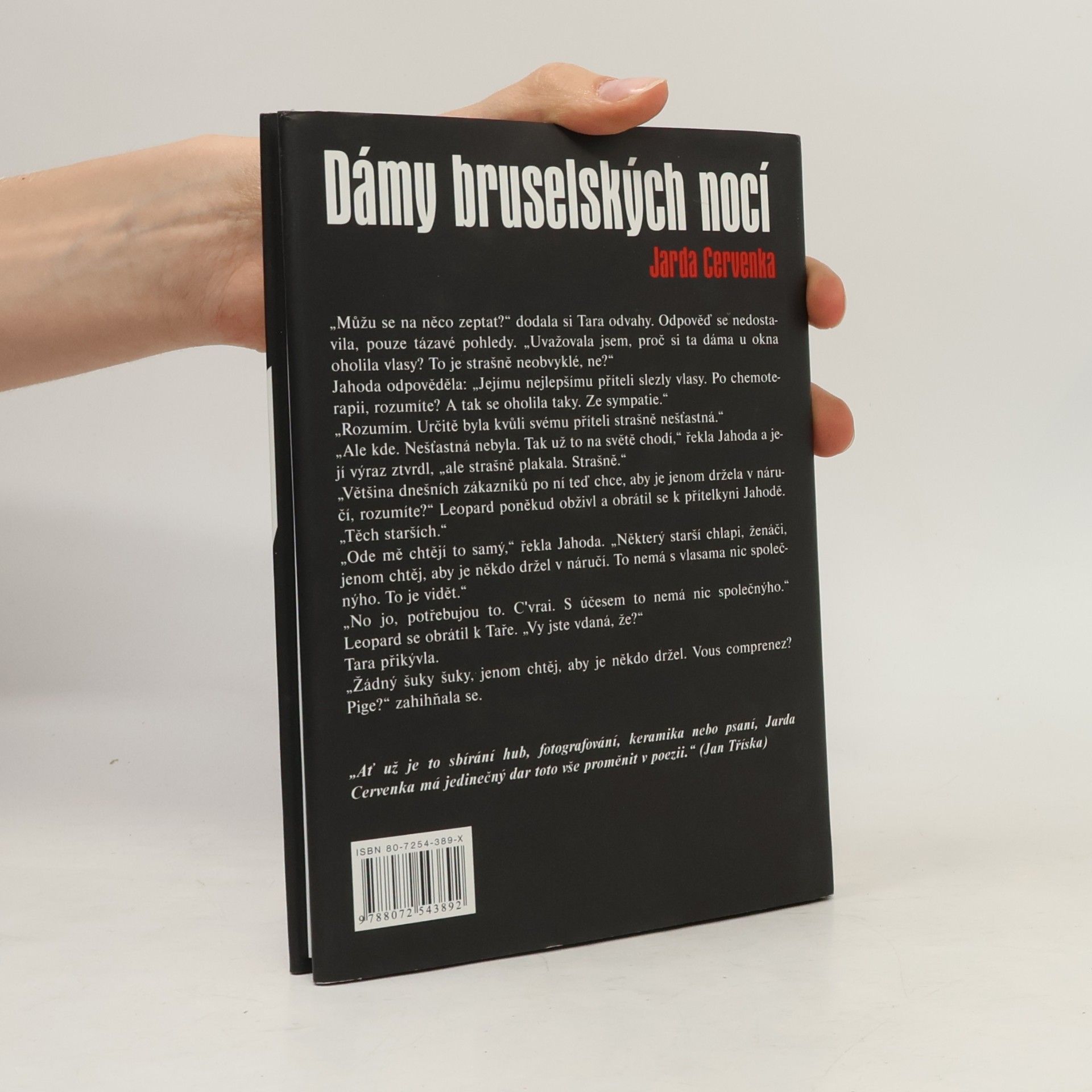 Jarda Červenka Dámy bruselských nocí