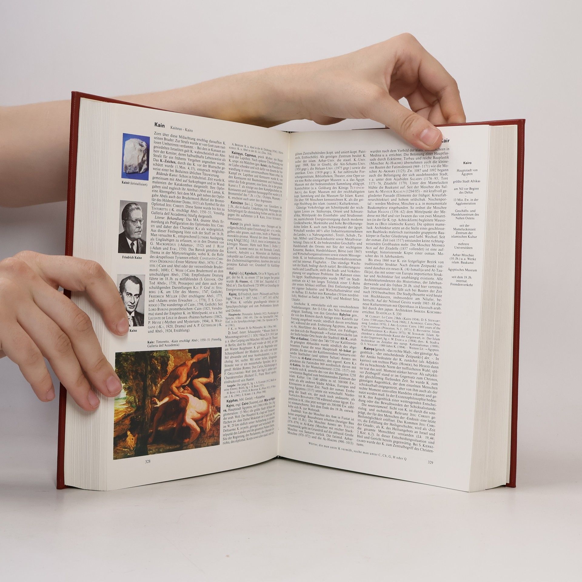 Various authors Brockhaus 11. Die Enzyklopädie in 24 Bänden