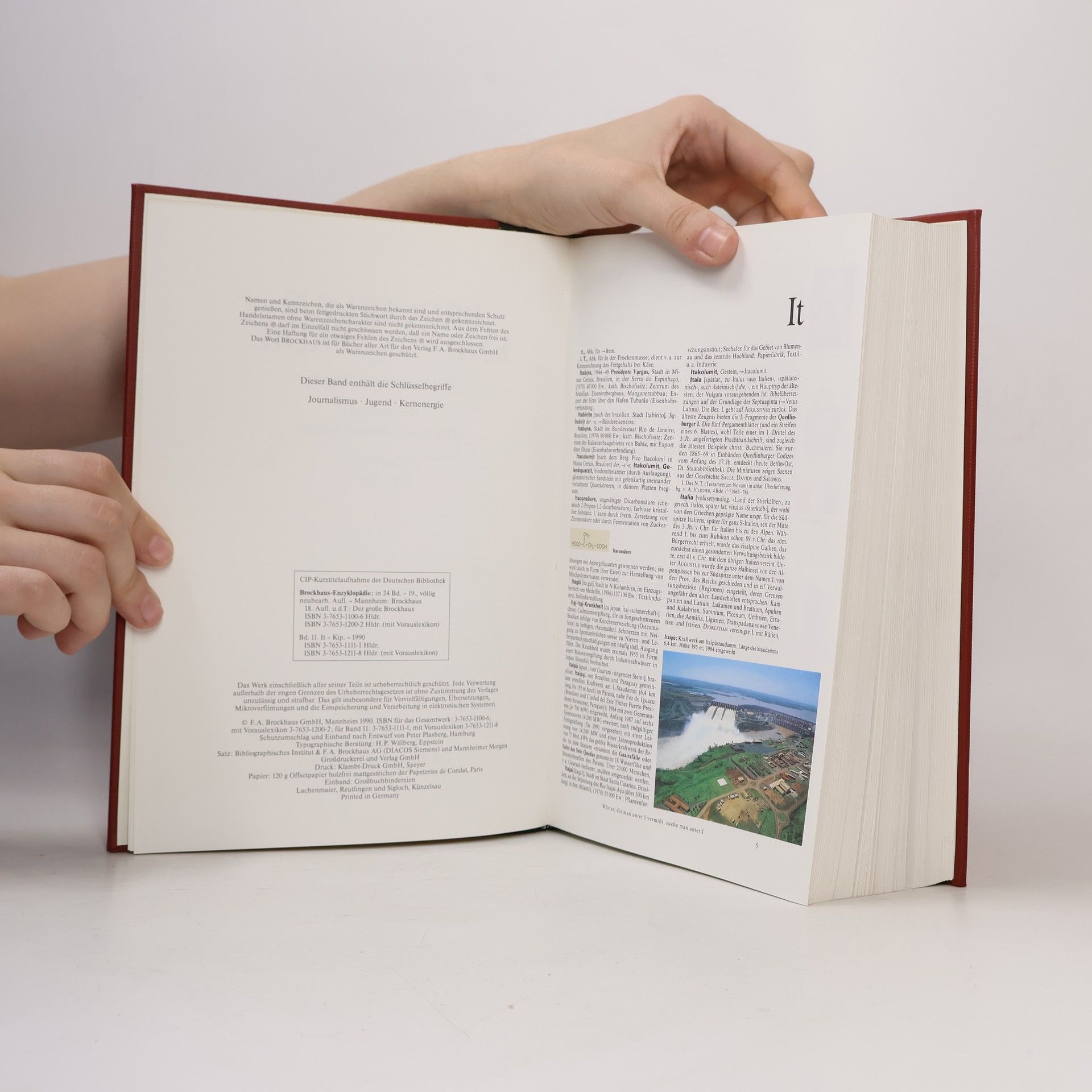 Various authors Brockhaus 11. Die Enzyklopädie in 24 Bänden