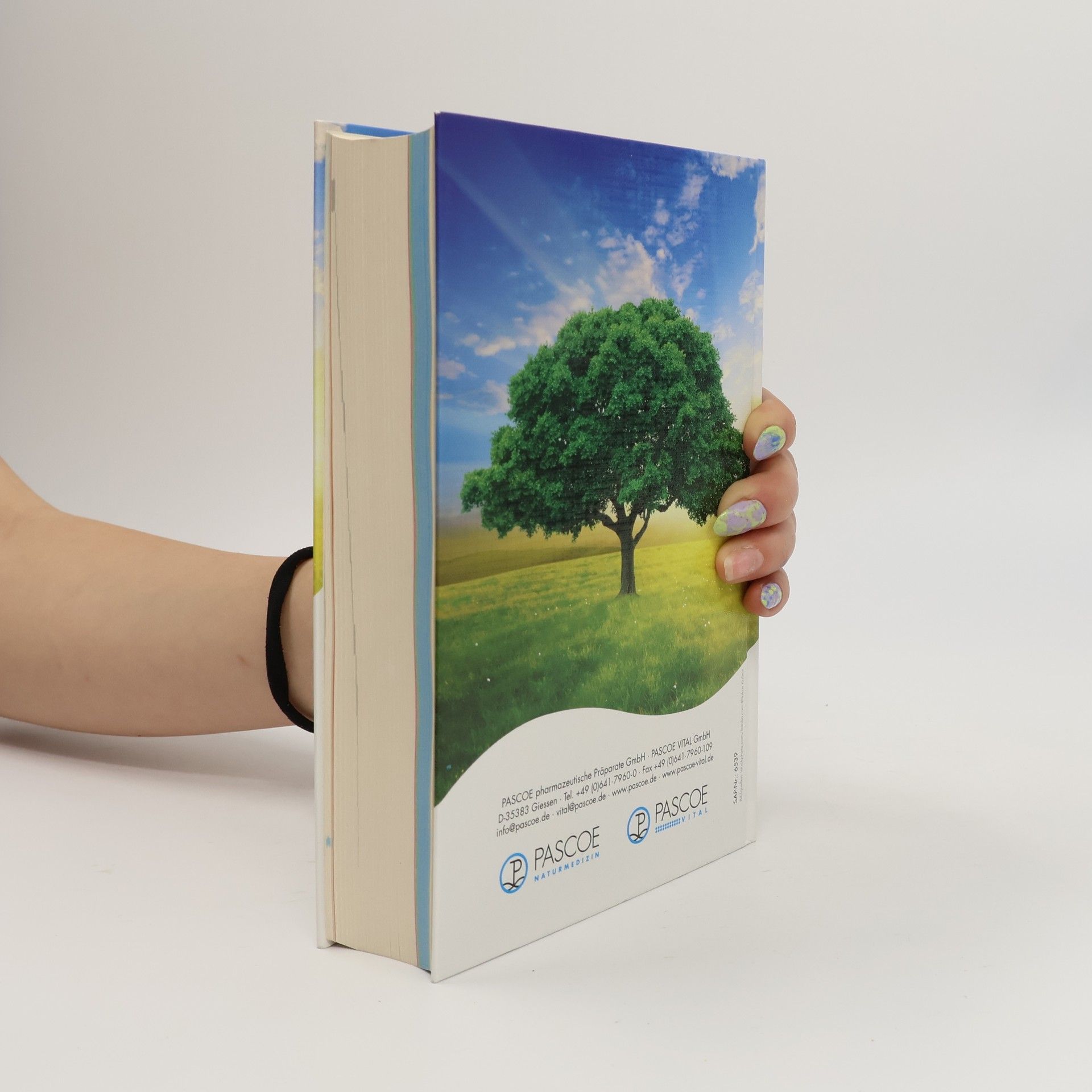 Autorenkollektiv Therapeutisches Handbuch und Präparateverzeichnis