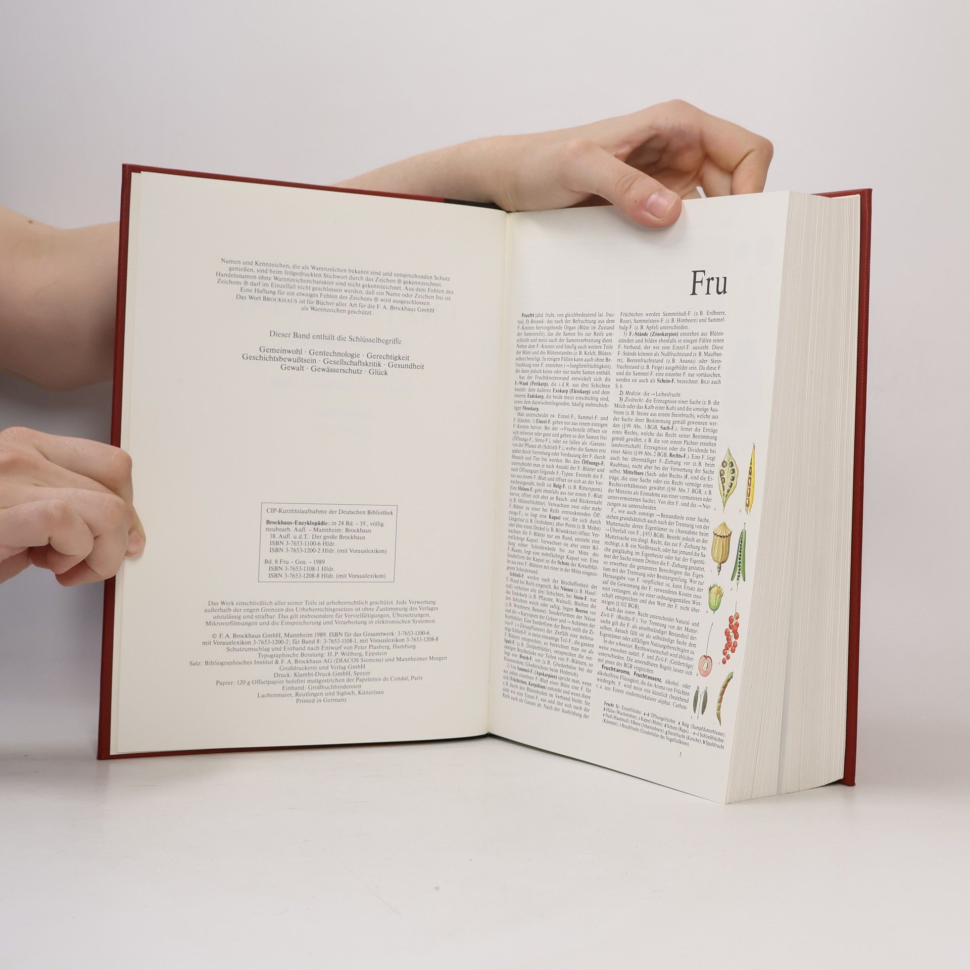 Kolektiv autorů Brockhaus Enzyklopädie 8 (FRU-GOS)