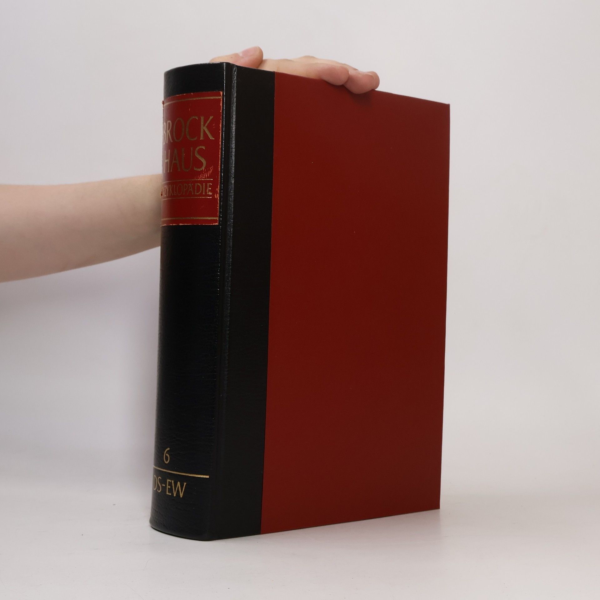Autores varios Brockhaus Enzyklopädie 6 (DS-EW)