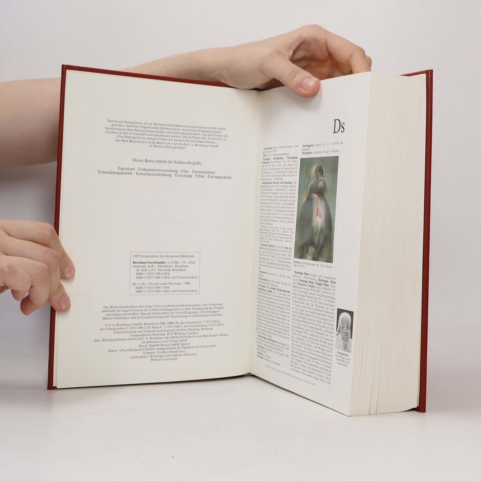 Autores varios Brockhaus Enzyklopädie 6 (DS-EW)