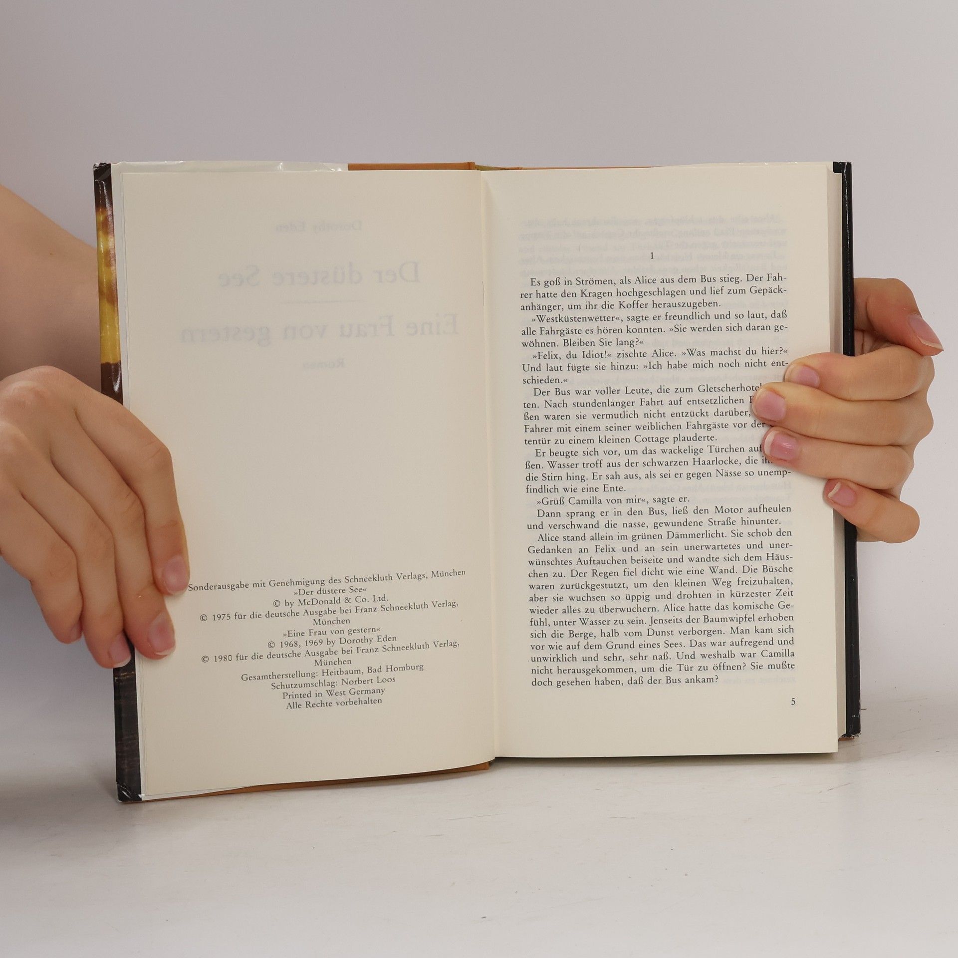Dorothy Eden Der düstere See