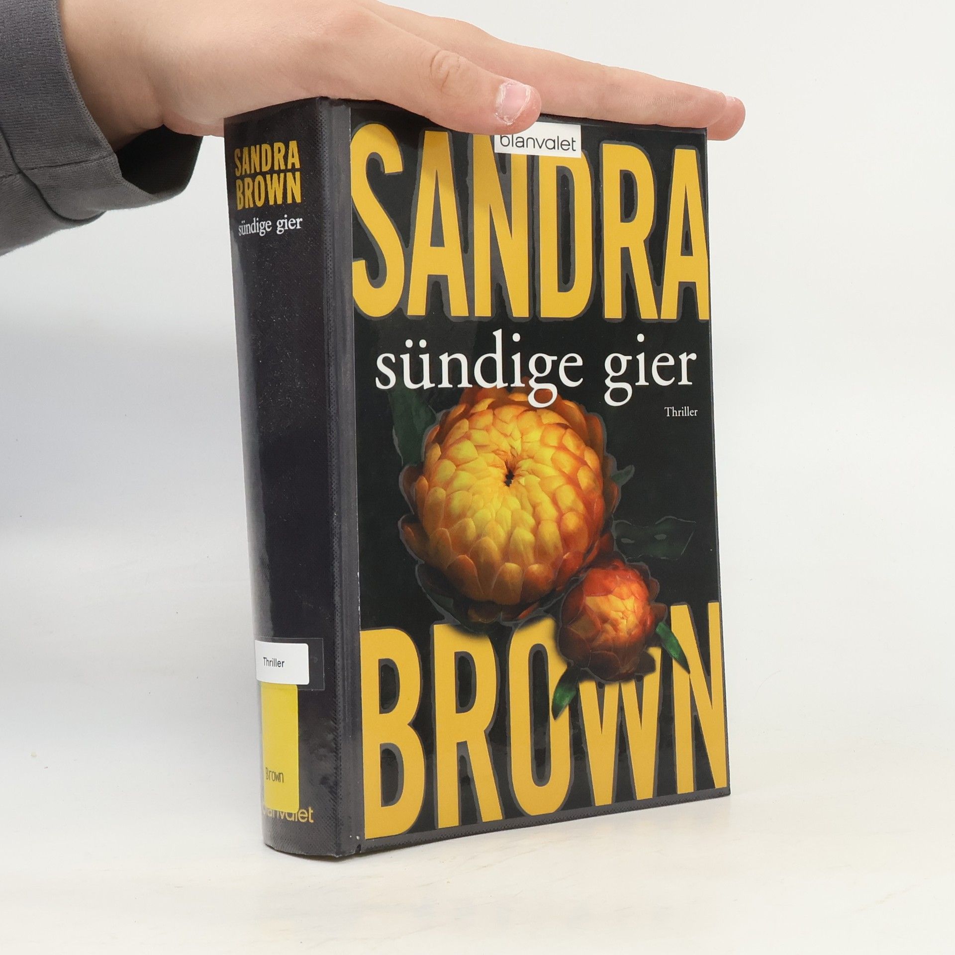 Sandra Brown Sündige Gier