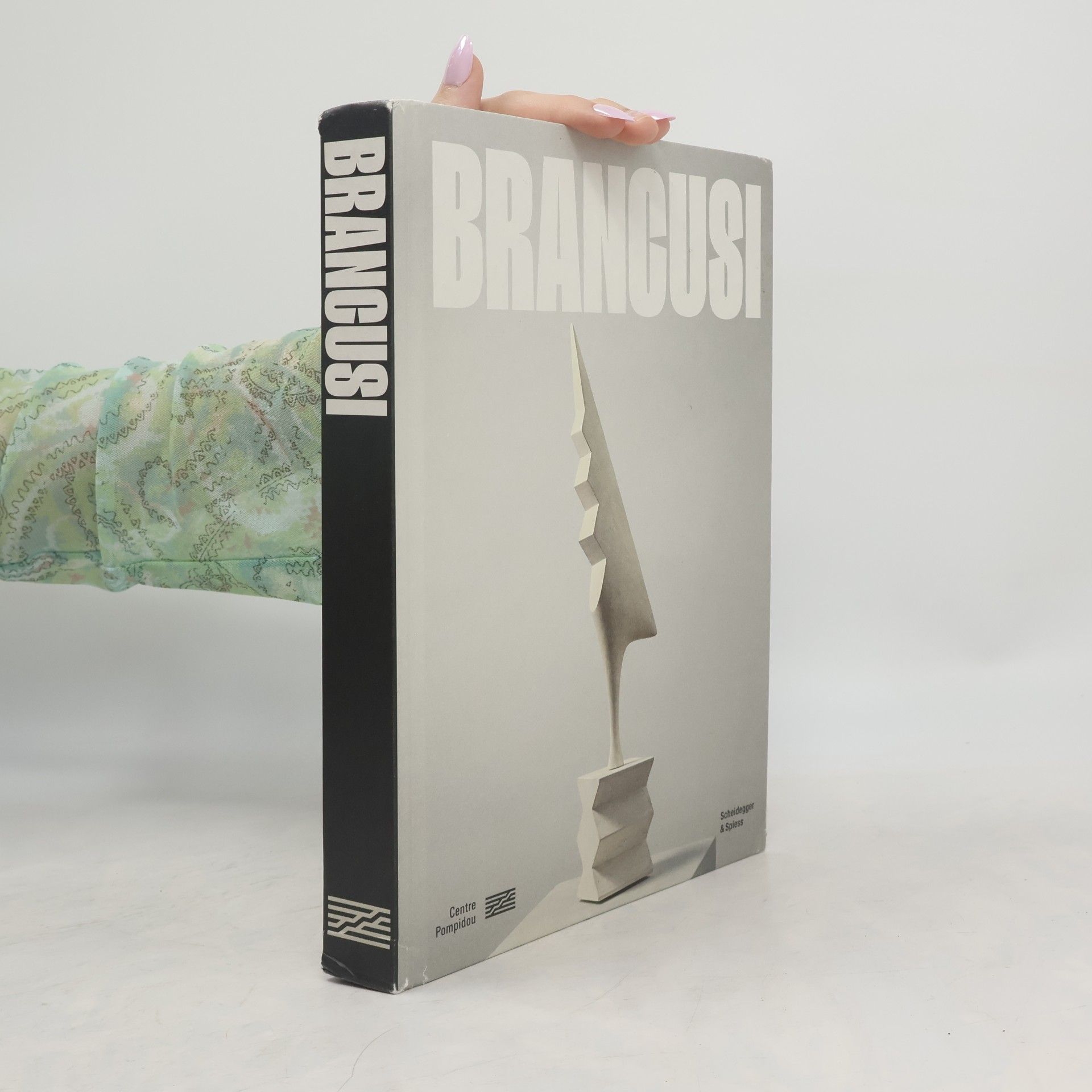 Collectif d'auteurs Brancusi