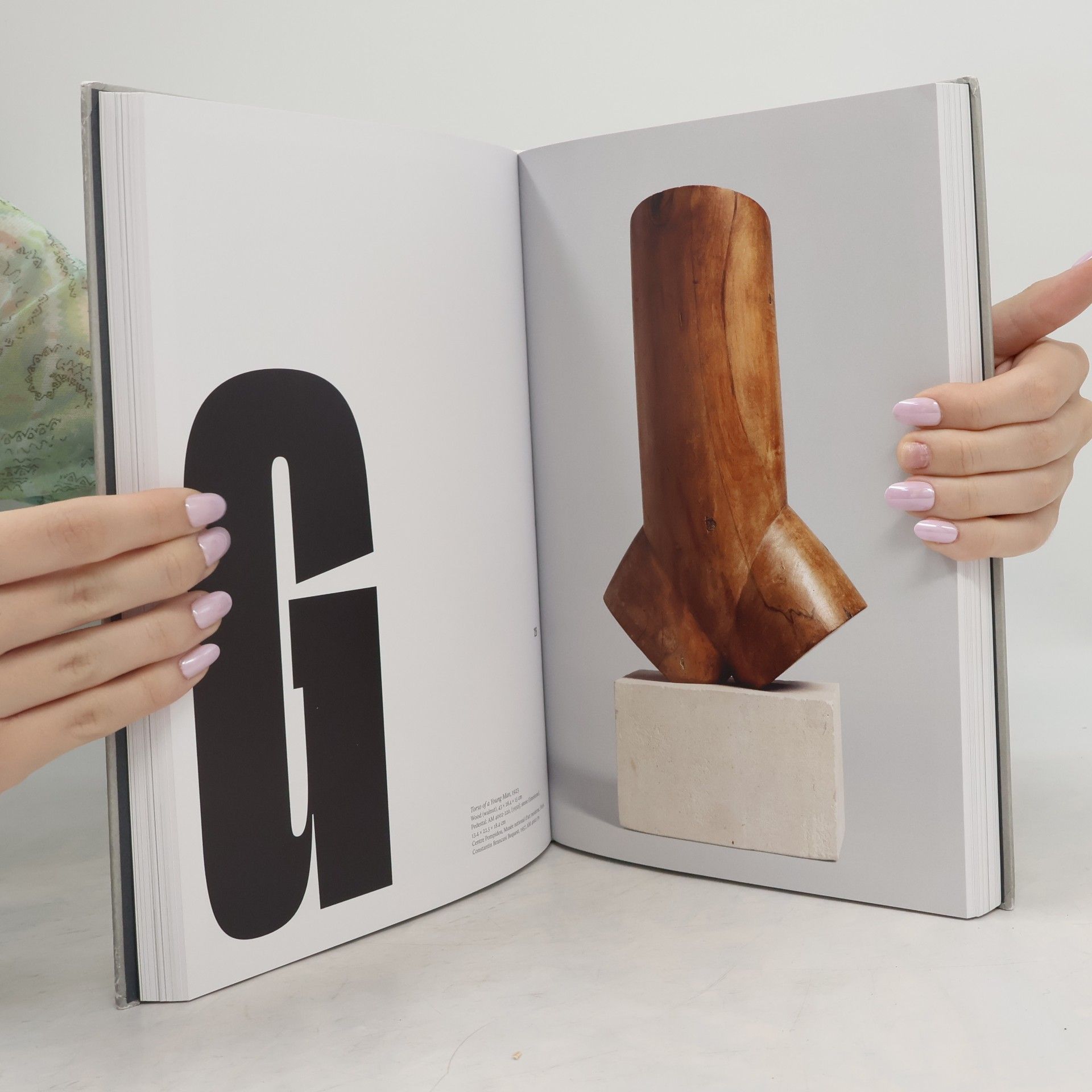 Collectif d'auteurs Brancusi