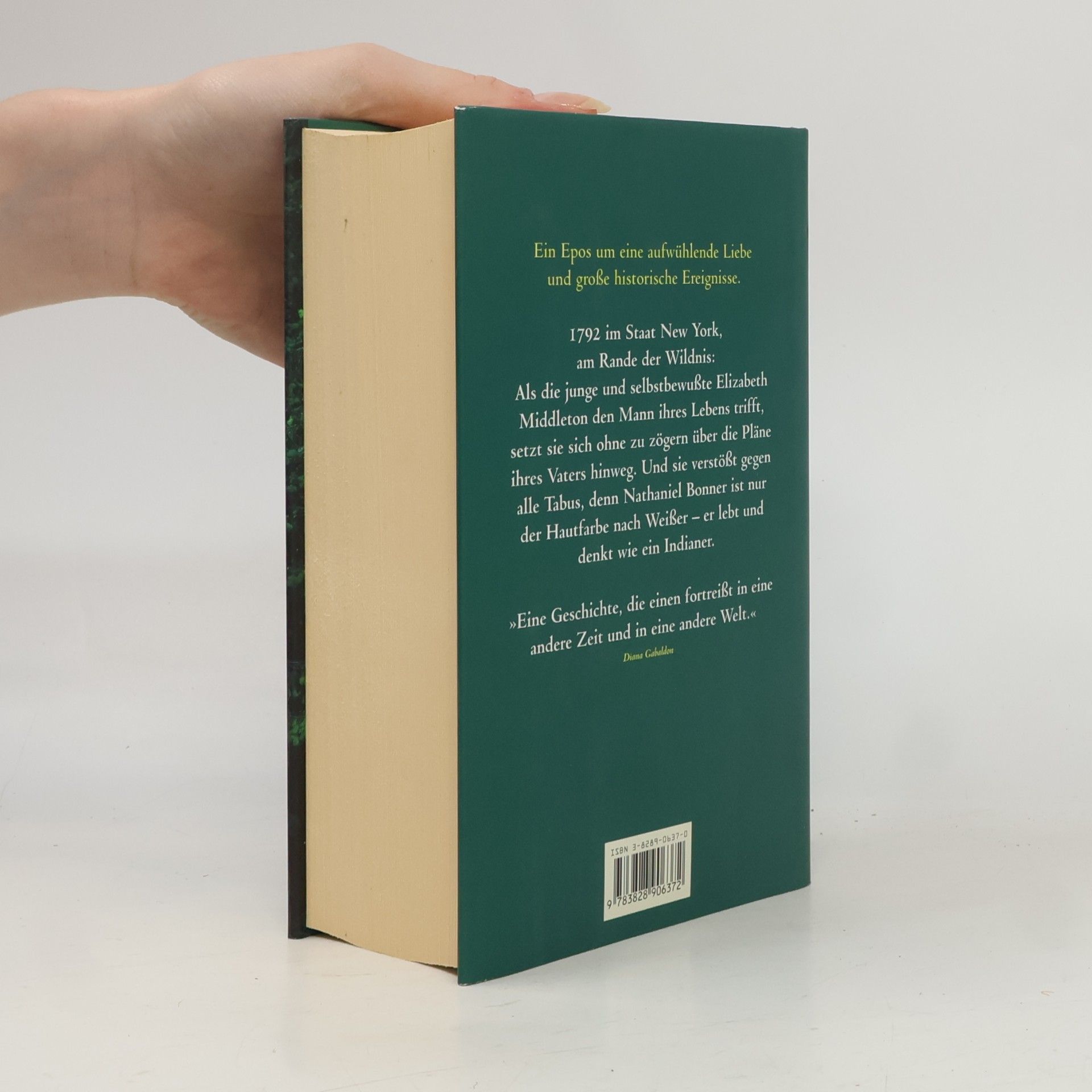 Sara Donati Im Herzen der Wildnis