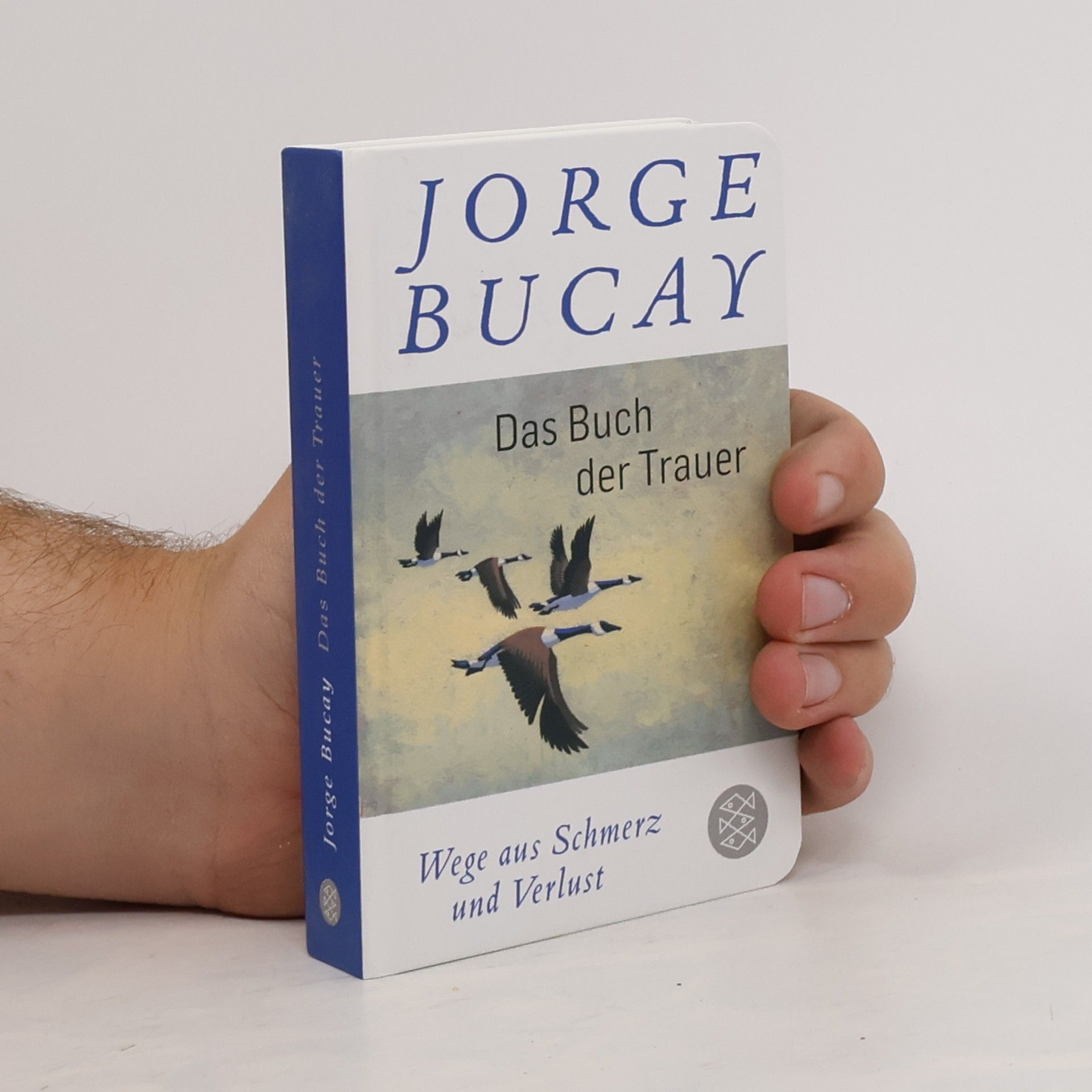 Jorge Bucay Das Buch der Trauer