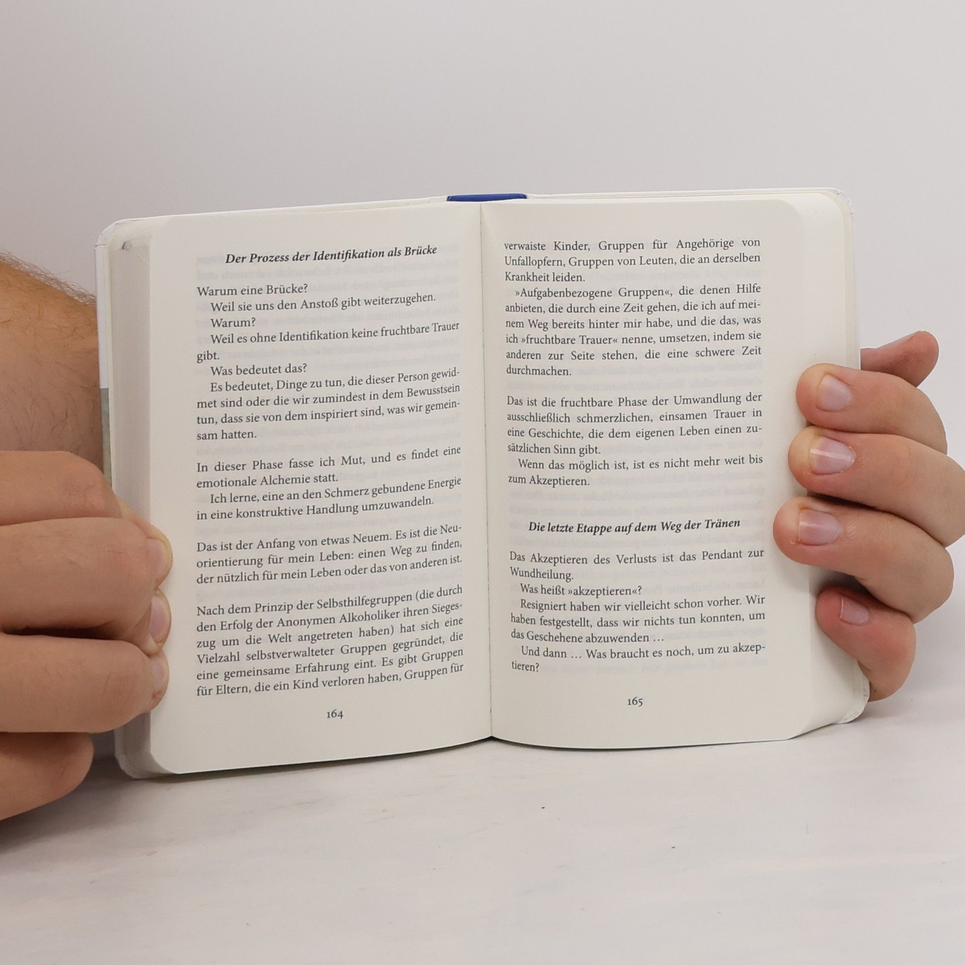 Jorge Bucay Das Buch der Trauer