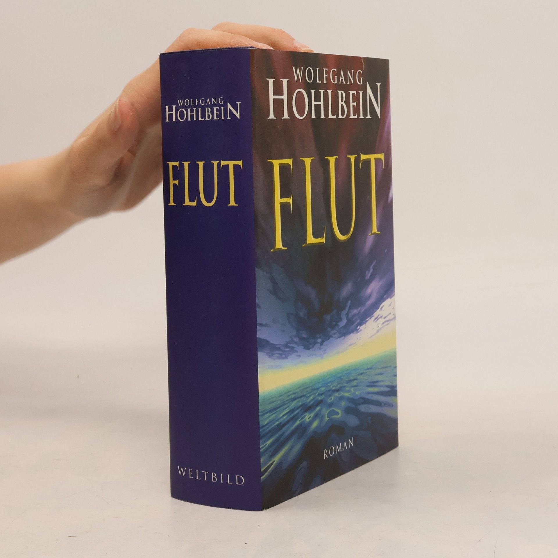 Wolfgang Hohlbein Flut