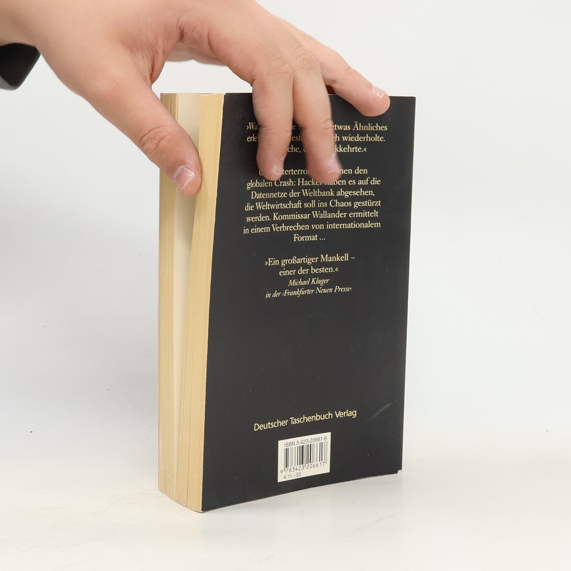 Henning Mankell Die Brandmauer