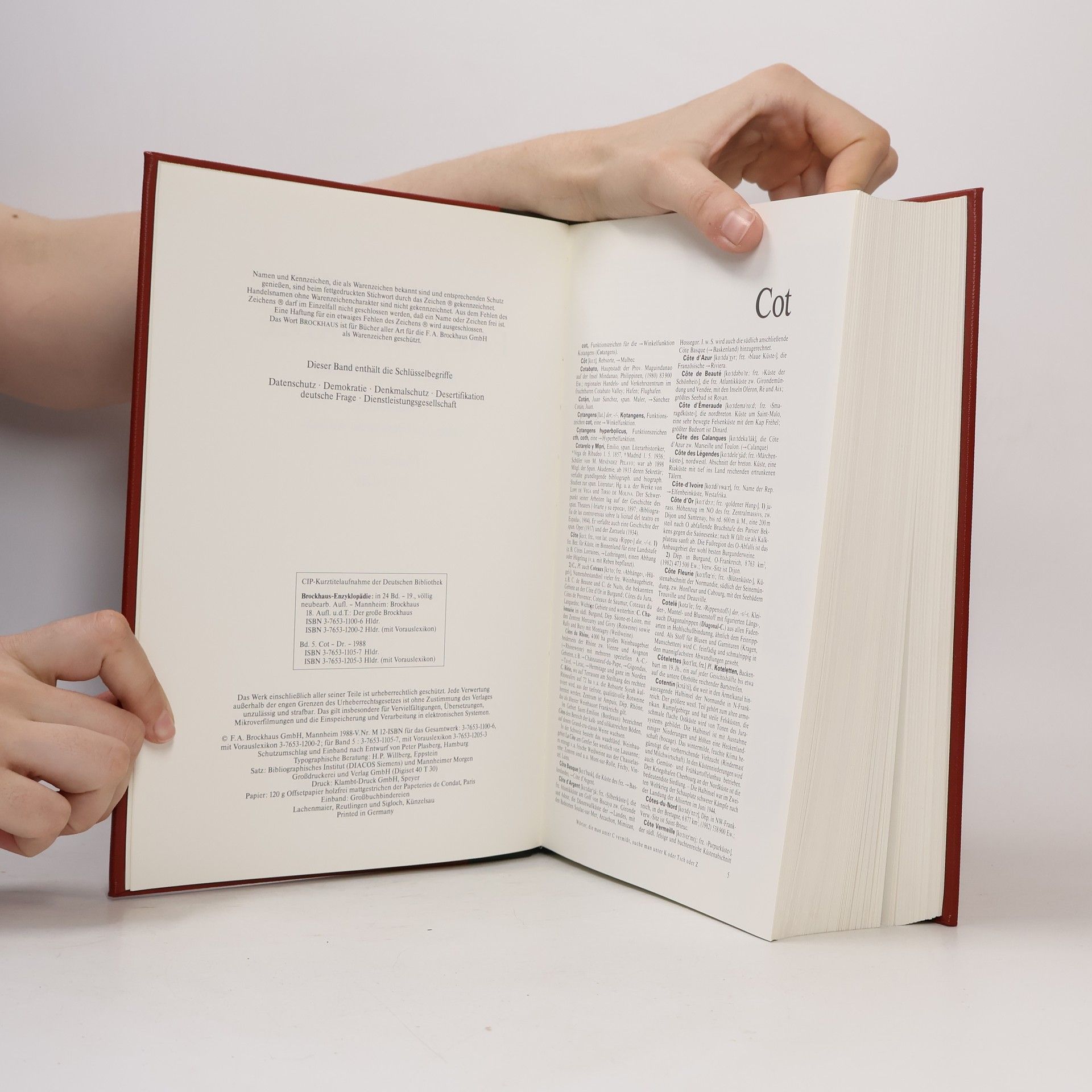 Collectif d'auteurs Brockhaus Enzyklopädie 5